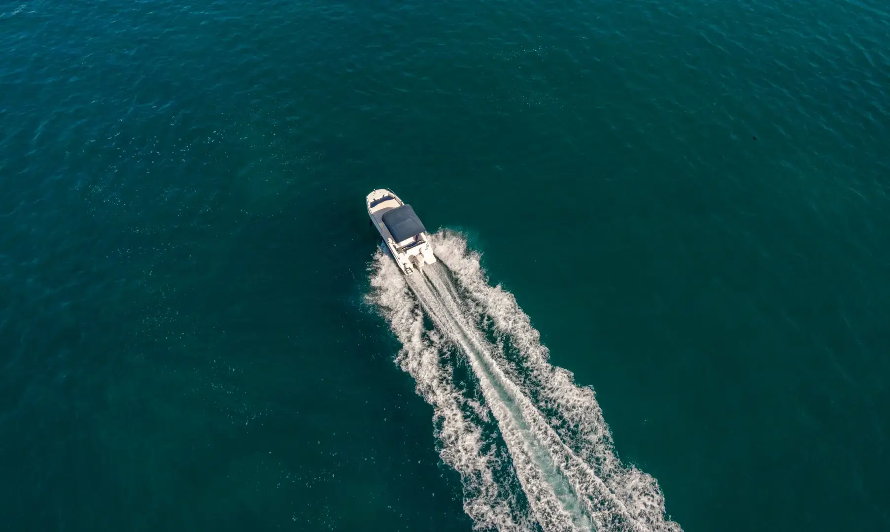 Andromeda thumbnail 14