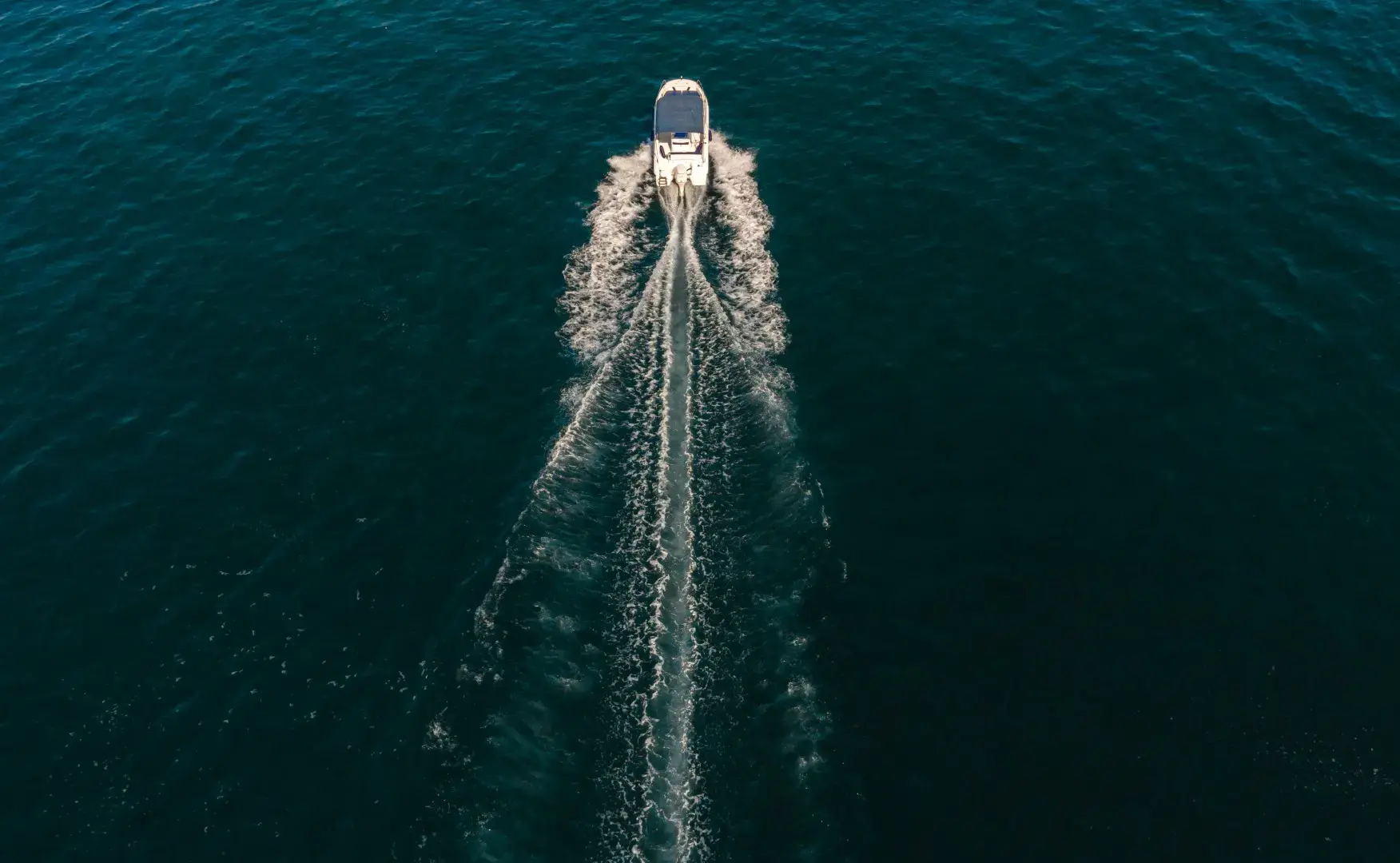 Andromeda thumbnail 17