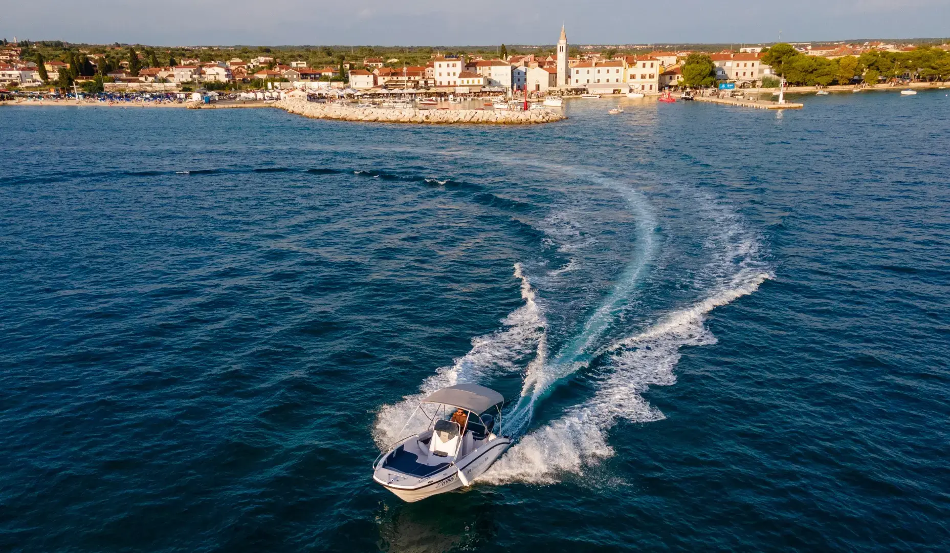 Andromeda thumbnail 4