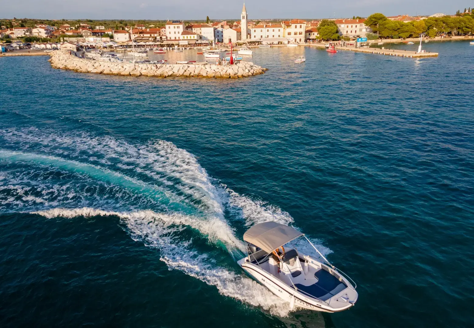 Andromeda thumbnail 15