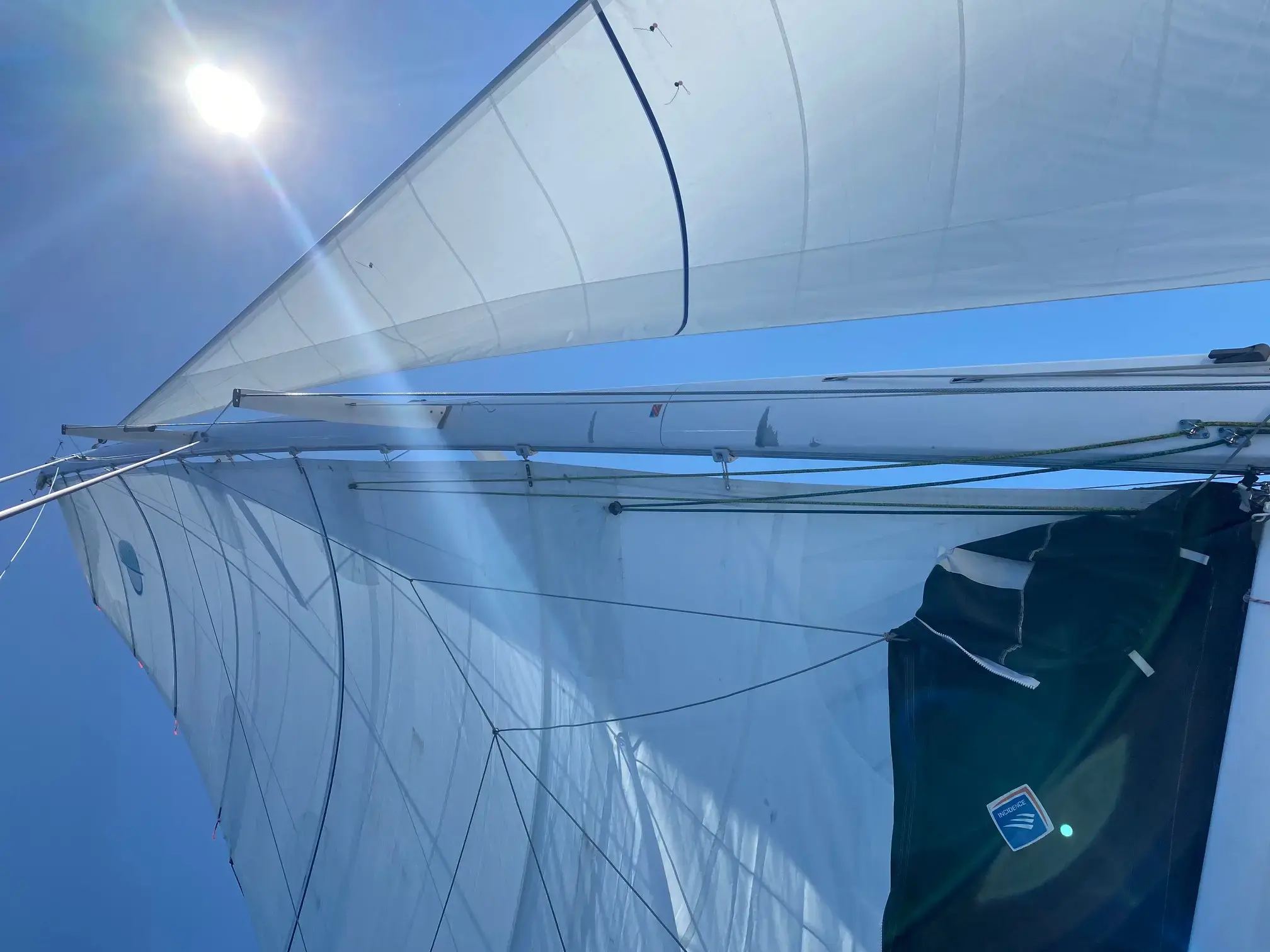 ADRIATIC LEOPARD  thumbnail 28