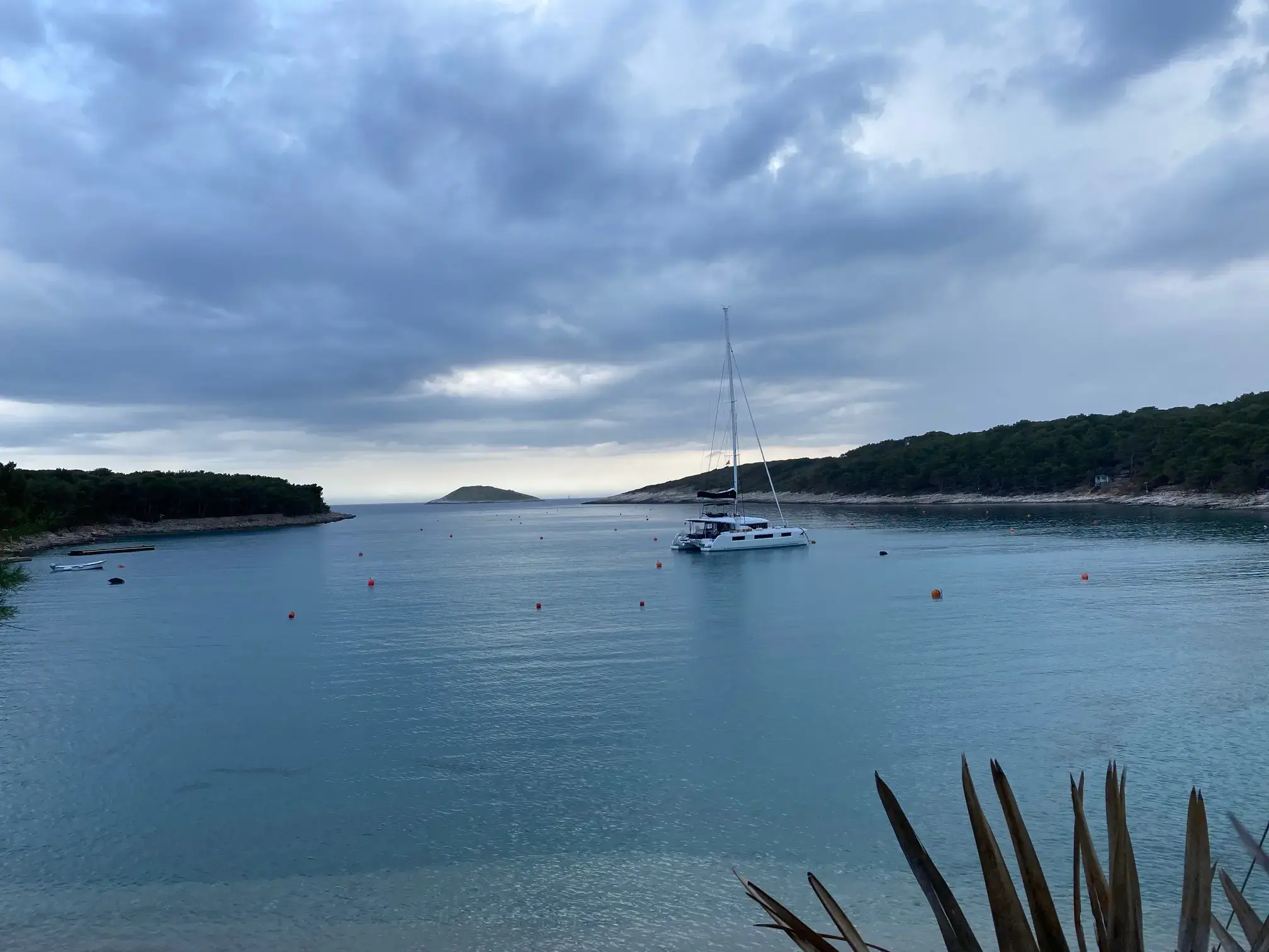 ADRIATIC LEOPARD  thumbnail 27