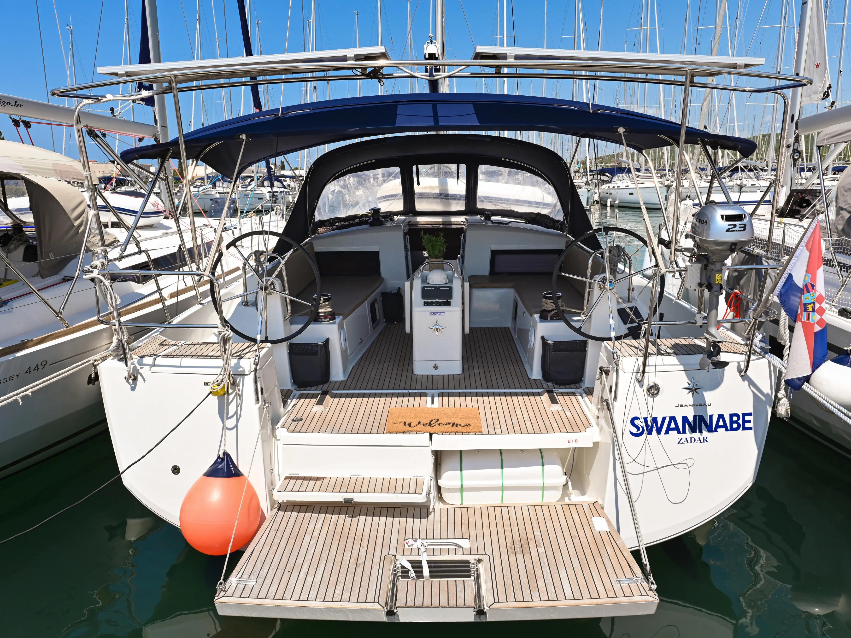 Swannabe photo 1