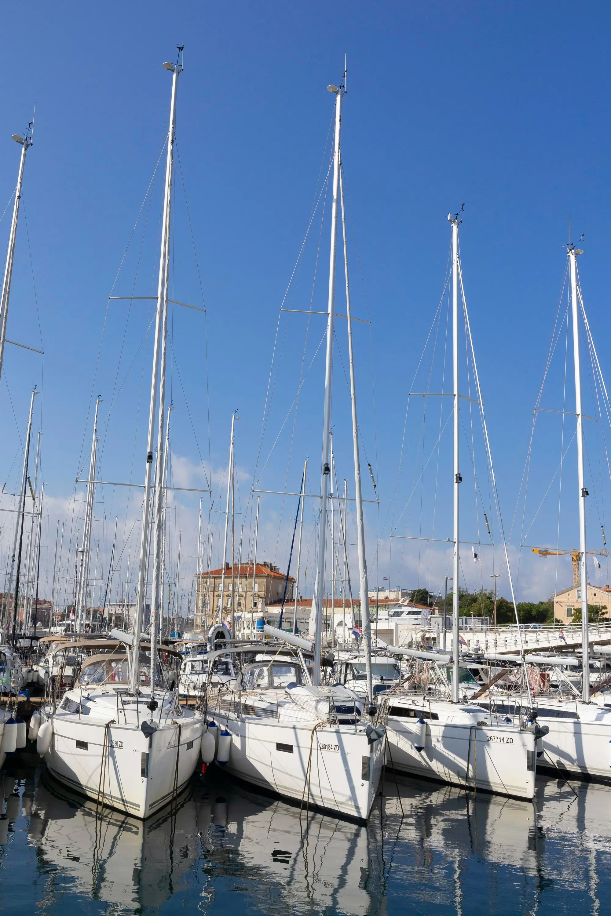 FORTUNATA thumbnail 34