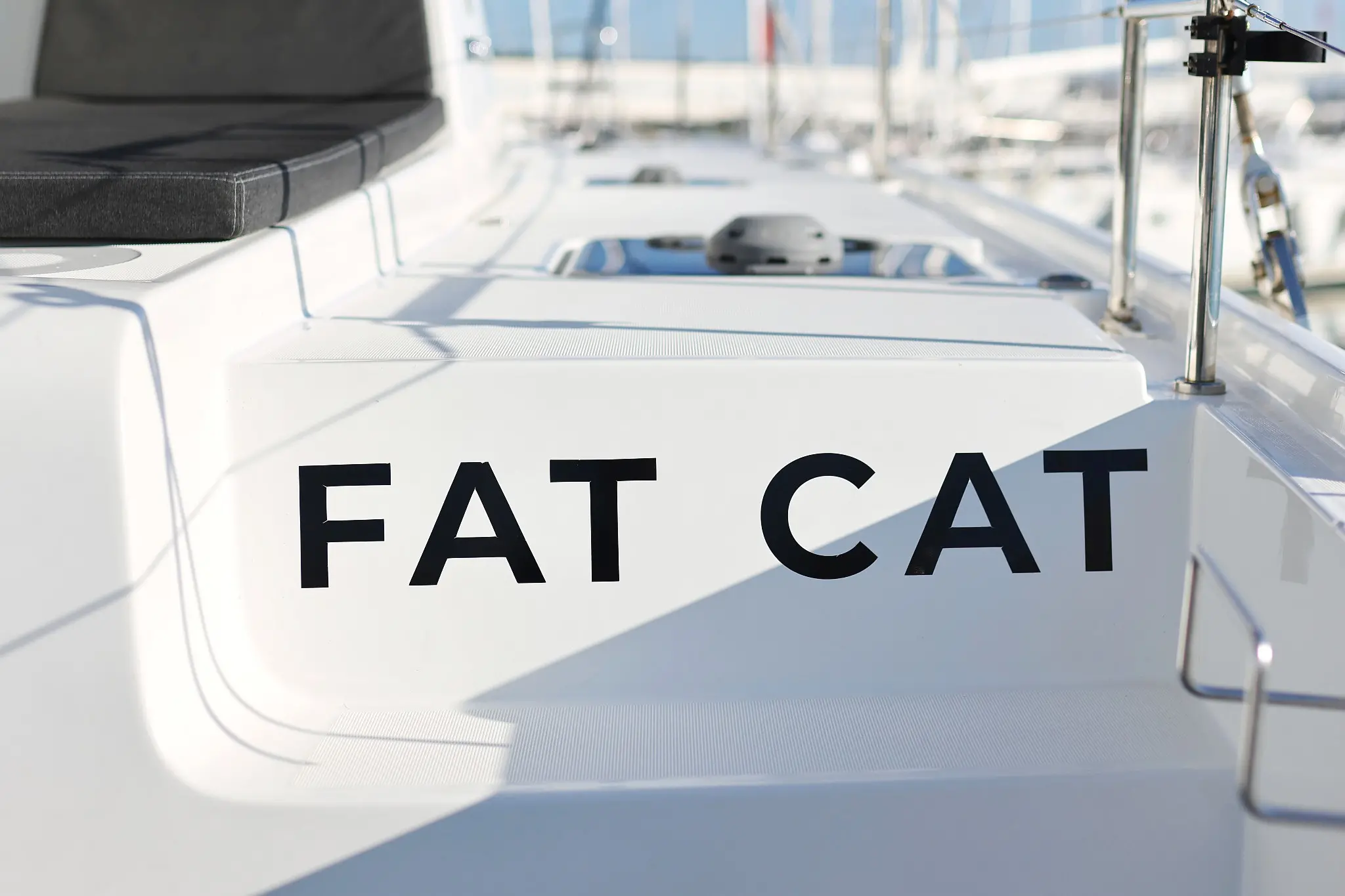 FAT CAT preview 4