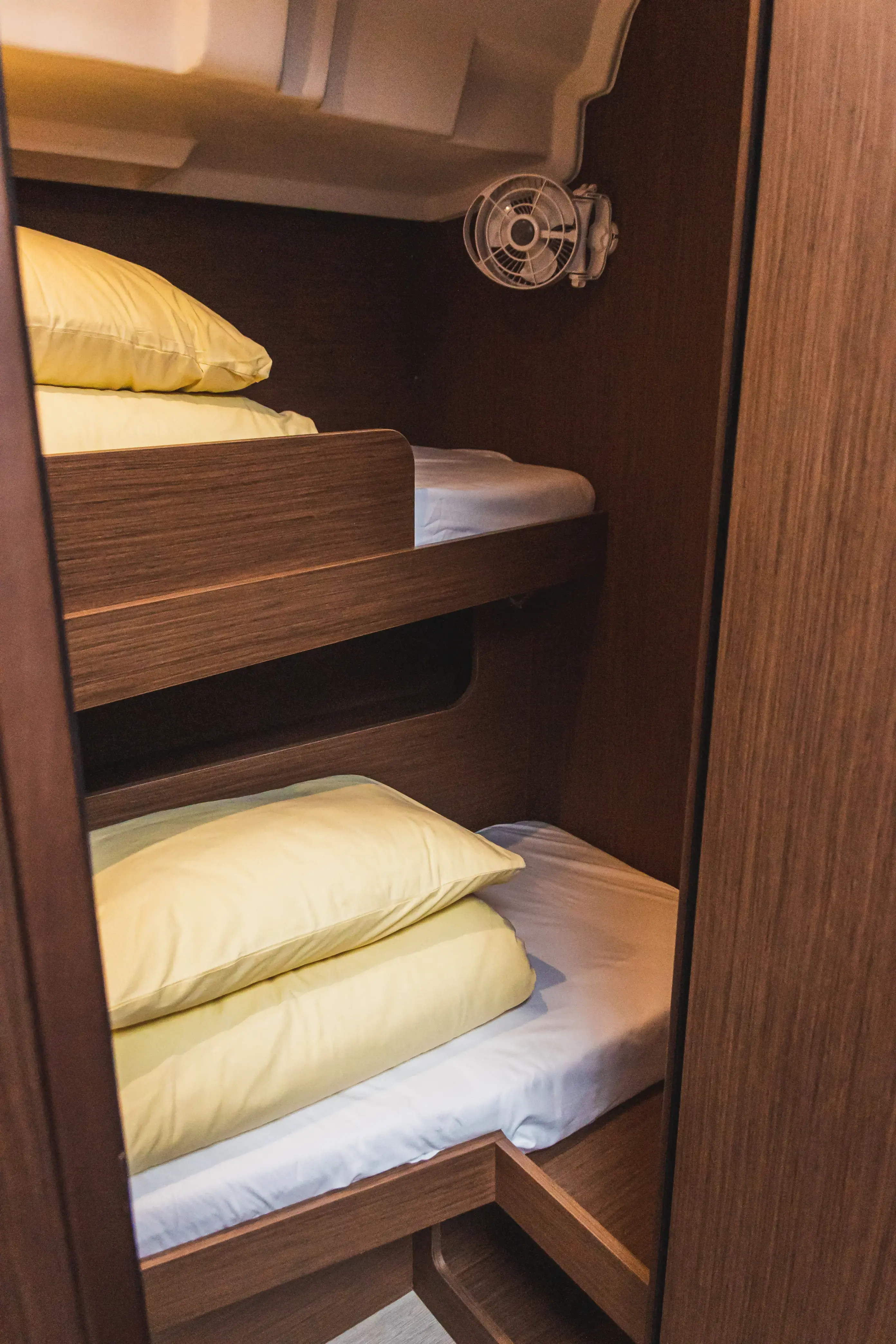 Panthata thumbnail 19