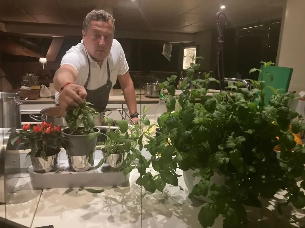 VULPINO thumbnail 179