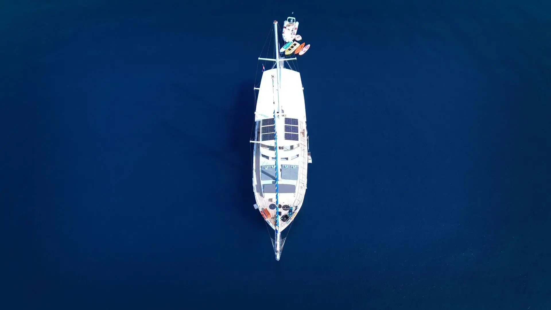 Premium + thumbnail 48