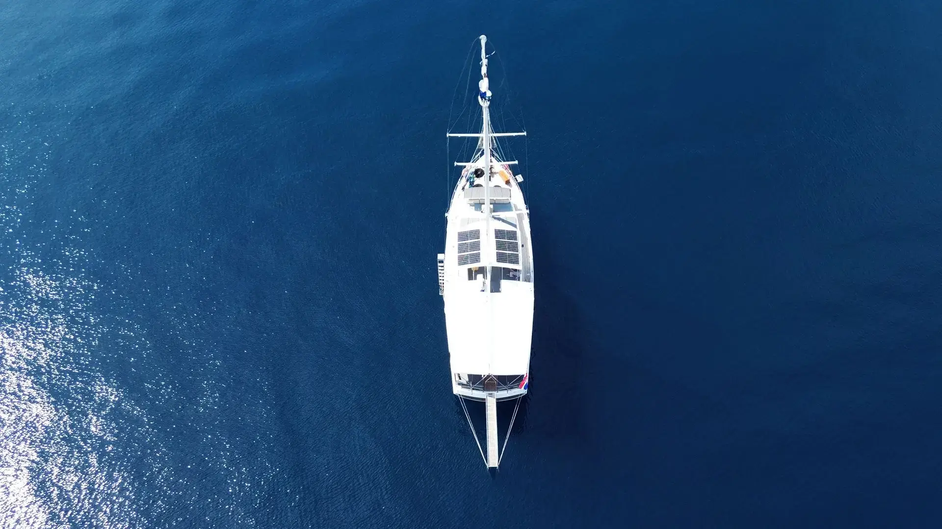 Premium + thumbnail 50