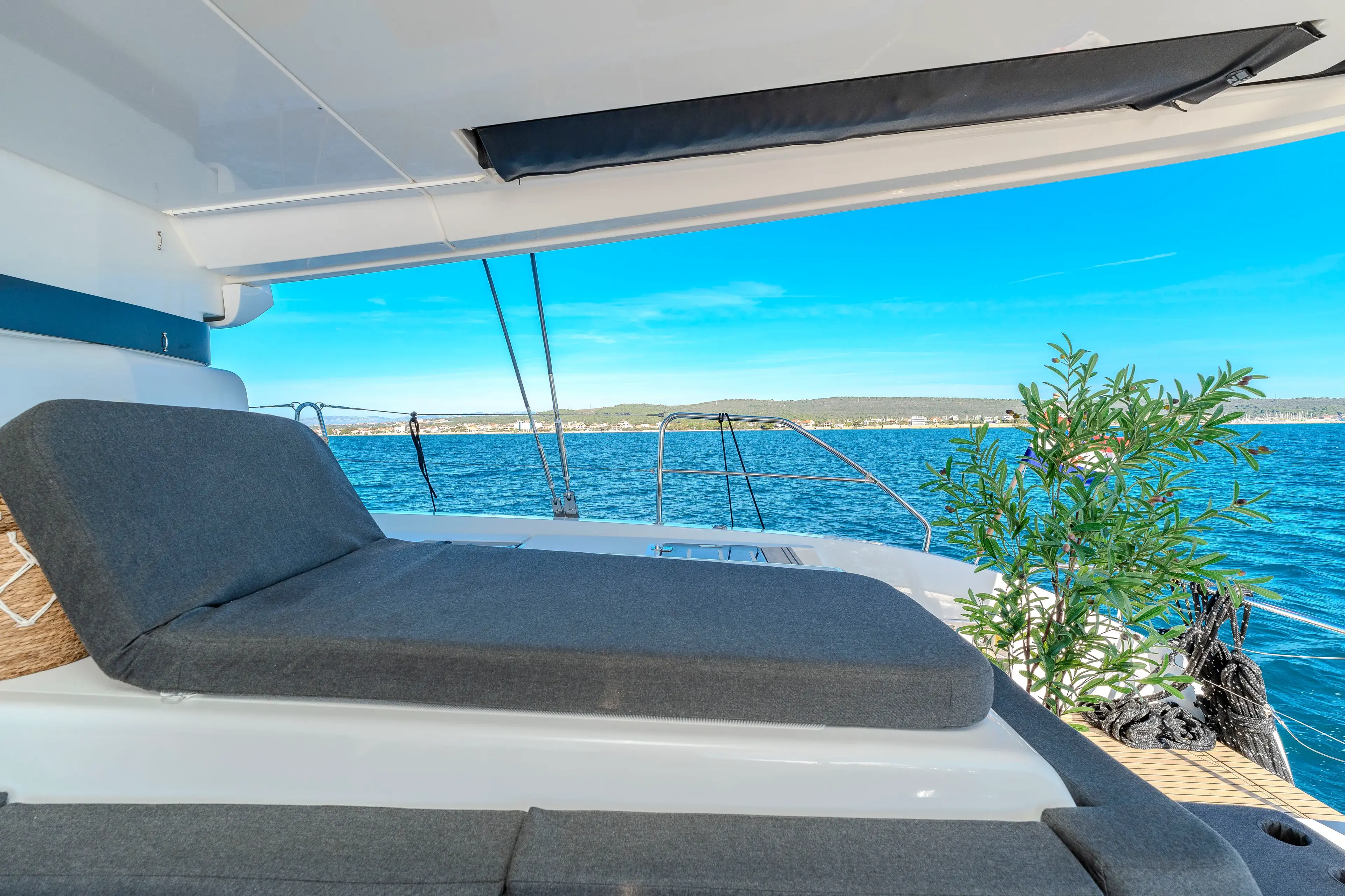 BLACK CAVIAR thumbnail 28