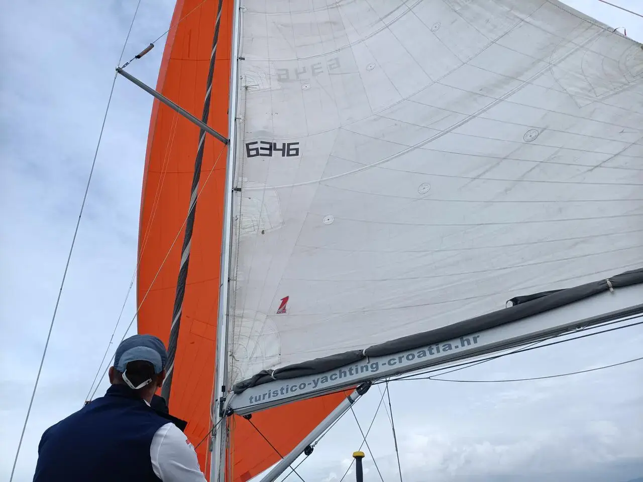 Solid White thumbnail 9