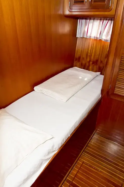 Viva La Libertad  thumbnail 17