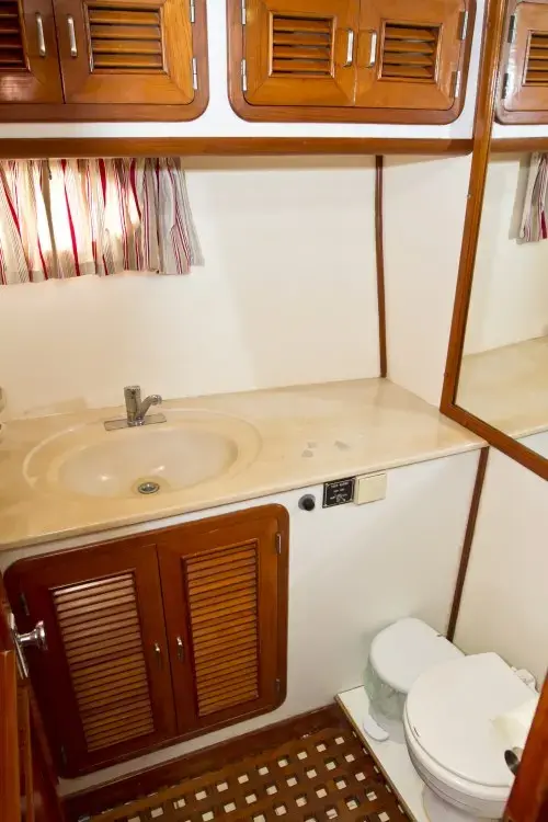 Viva La Libertad  thumbnail 19