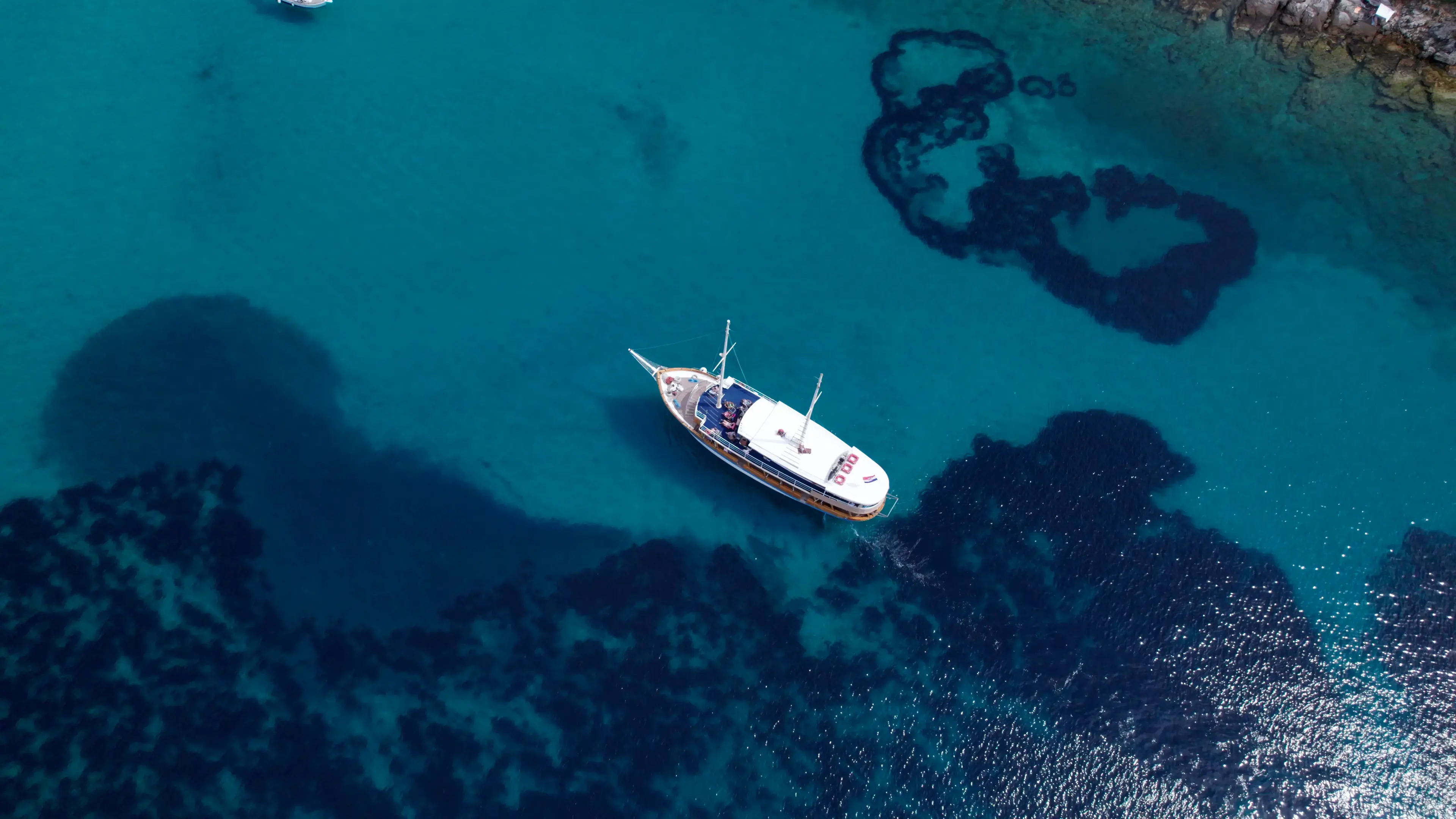 Novi dan thumbnail 24