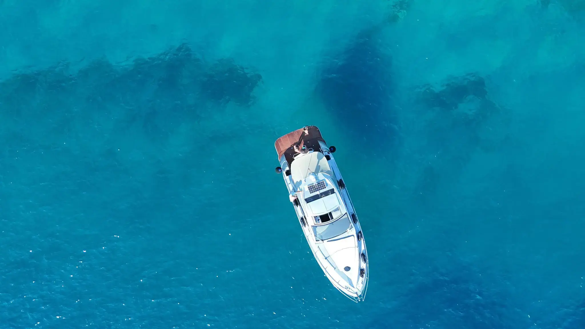 Marta V thumbnail 13