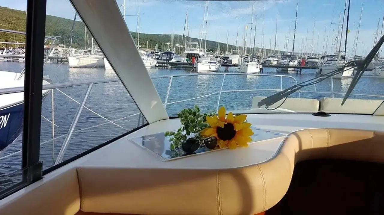 Fortuna thumbnail 17