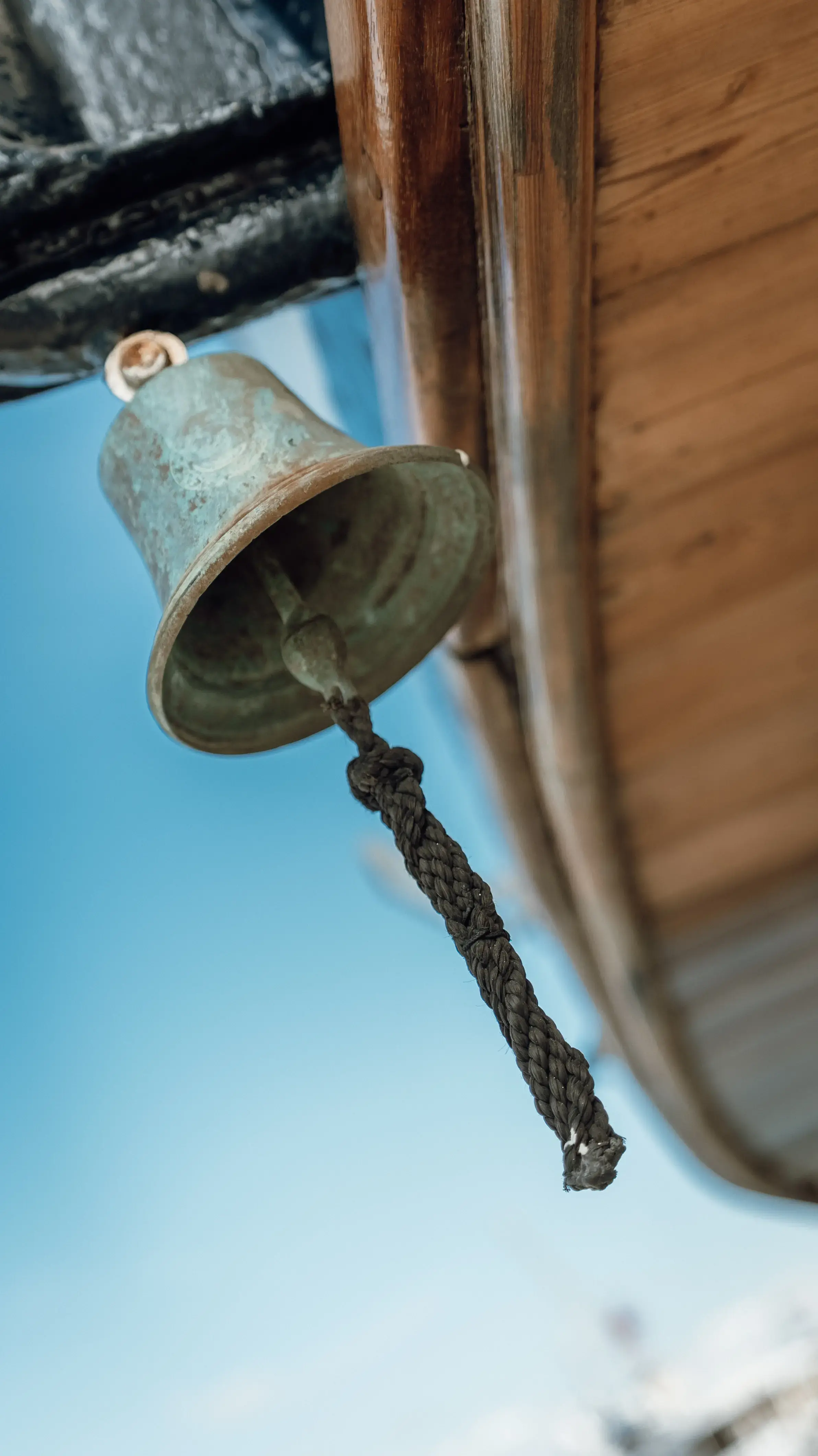 Seagull II thumbnail 5