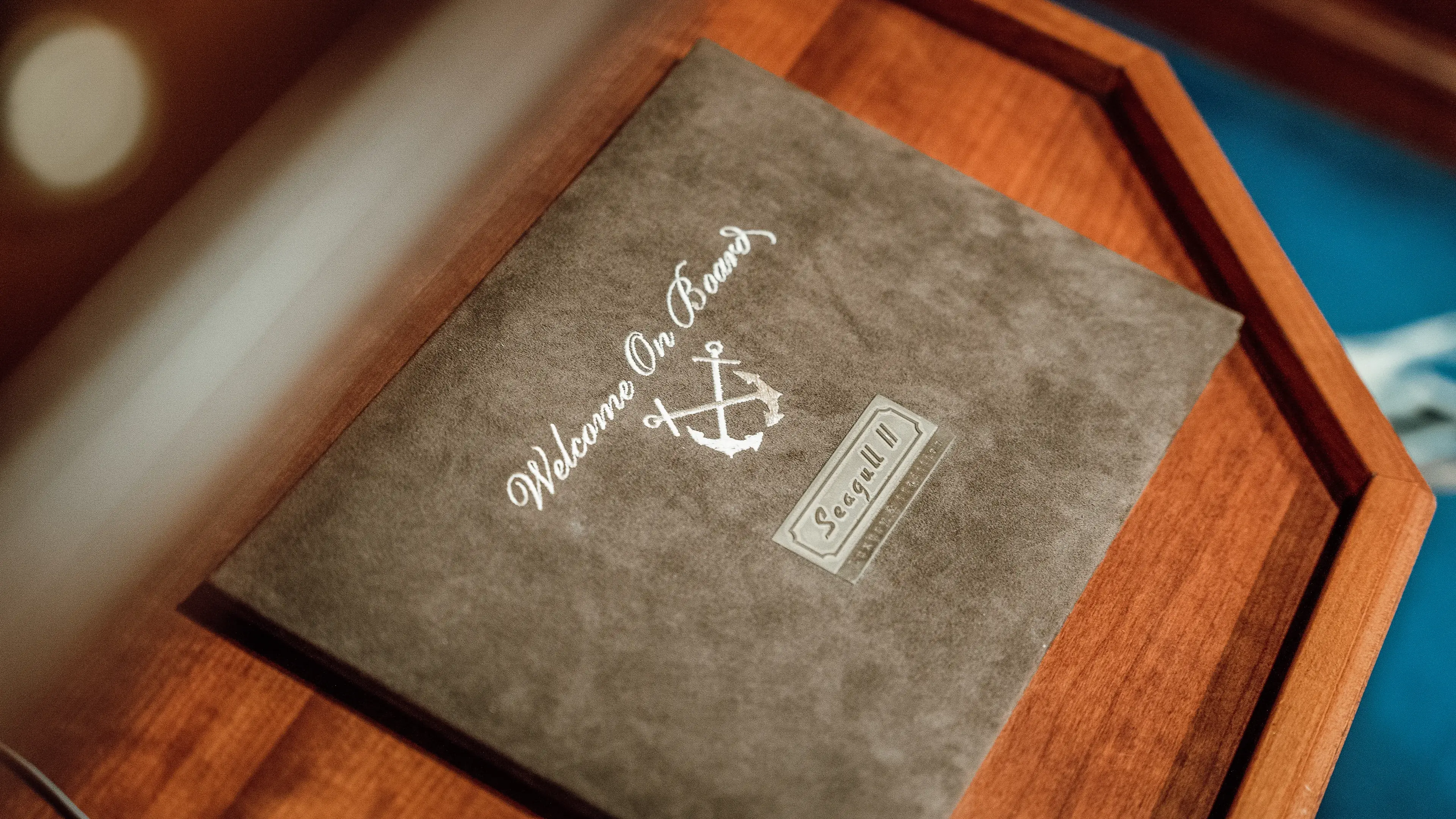 Seagull II thumbnail 10