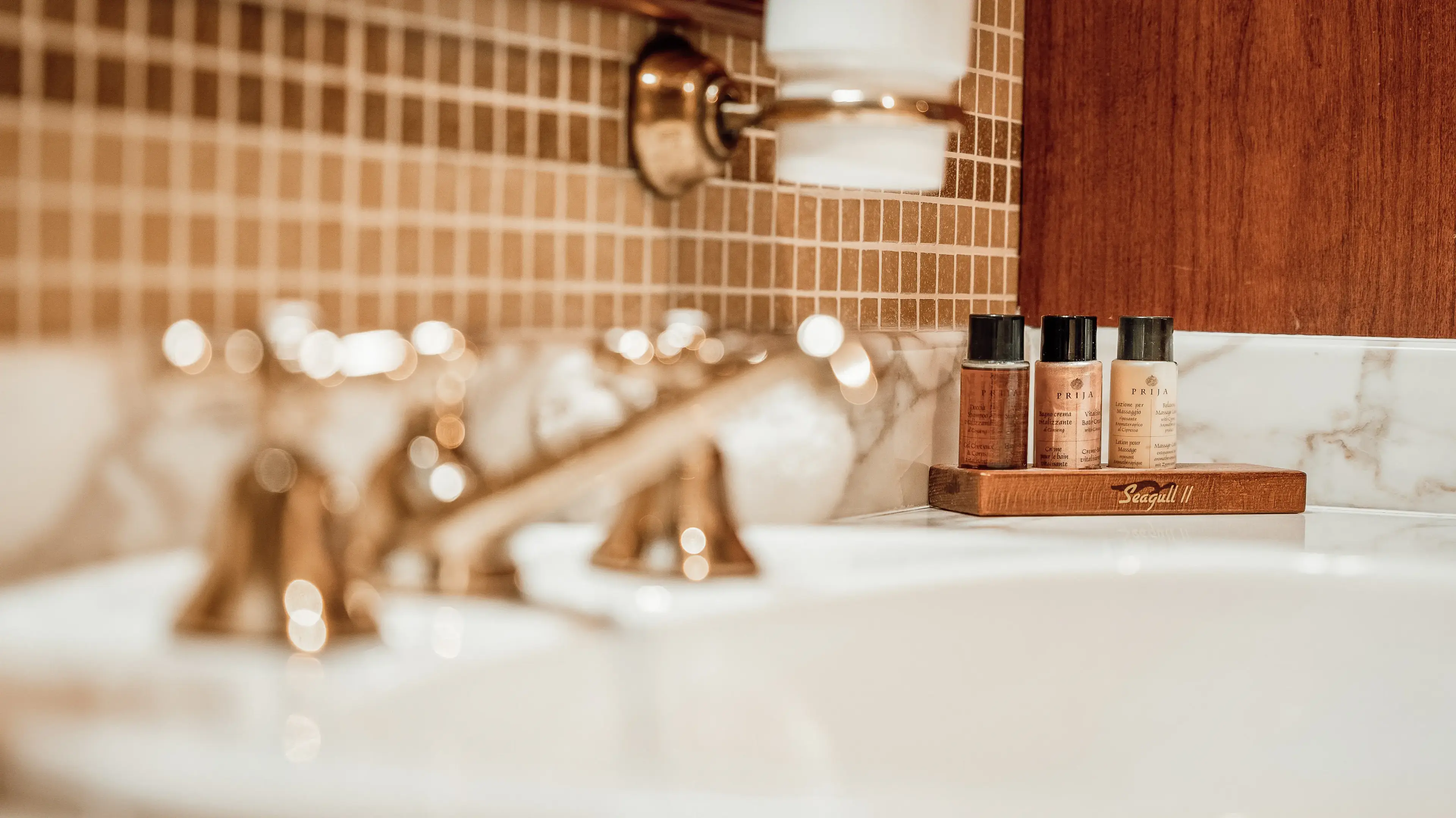 Seagull II thumbnail 54