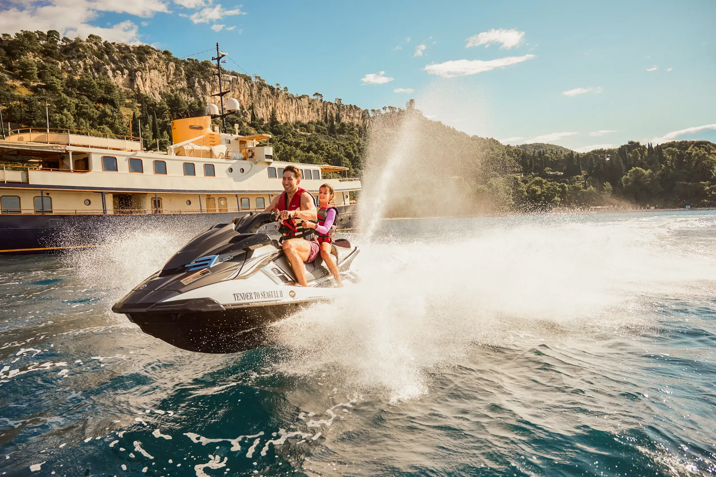 Seagull II thumbnail 74