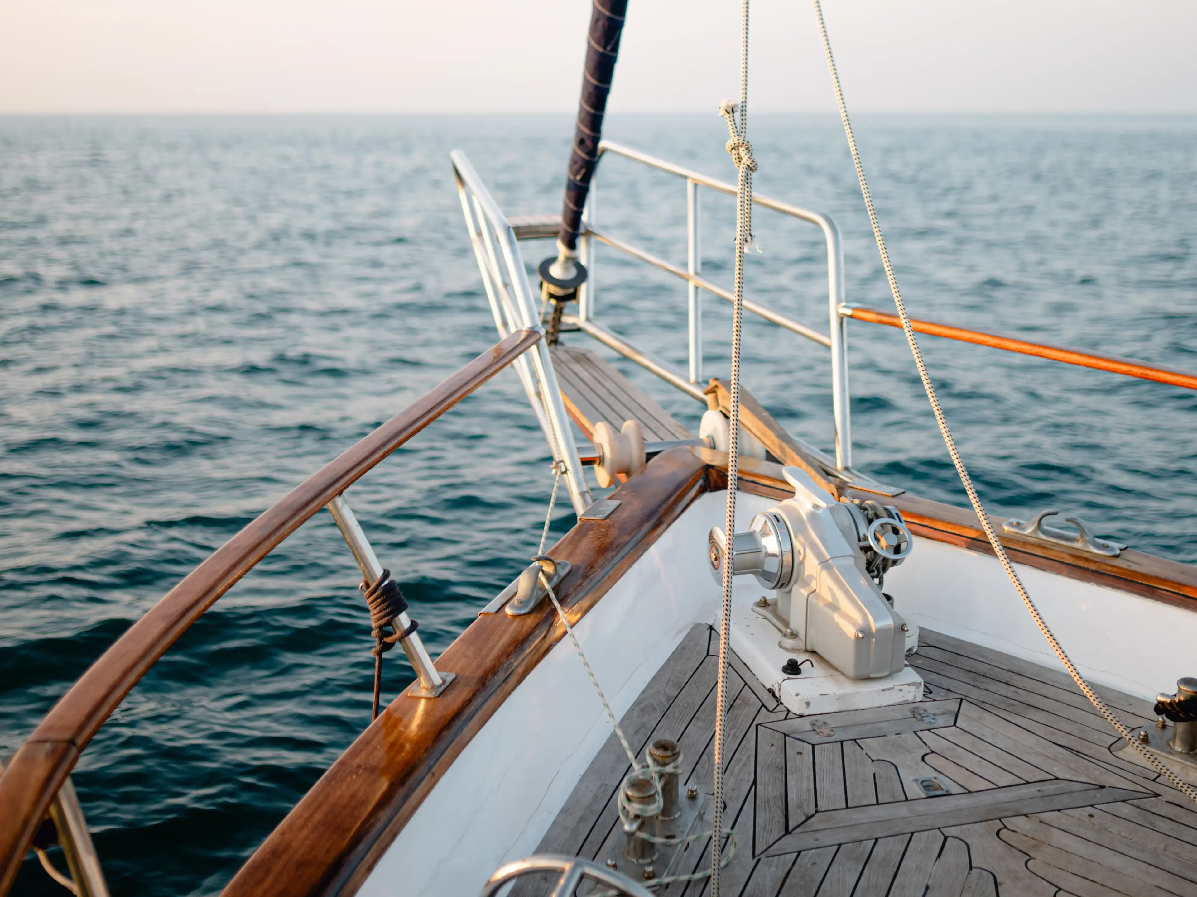 Calypsa thumbnail 11