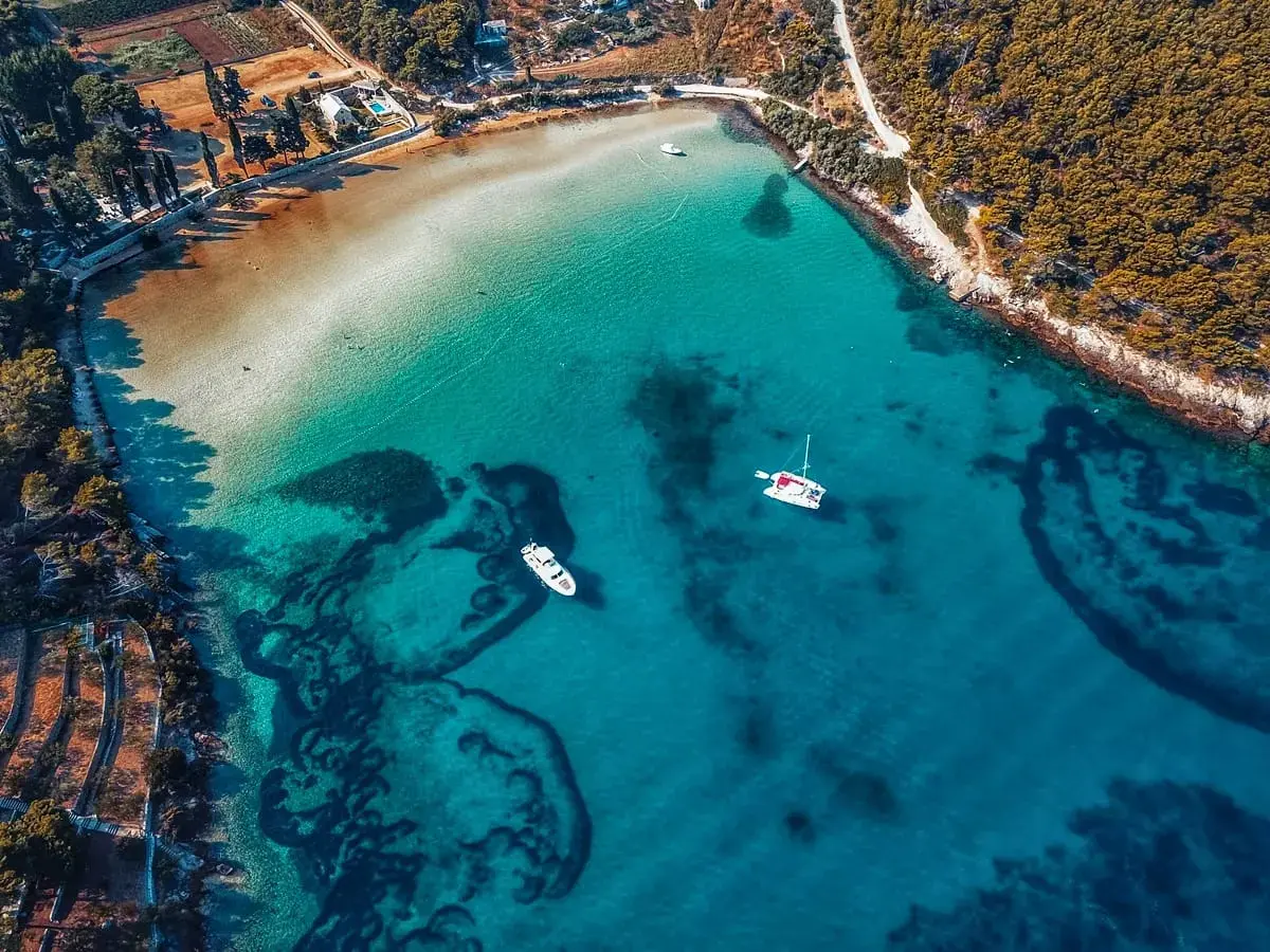 UNPLUGGED thumbnail 14