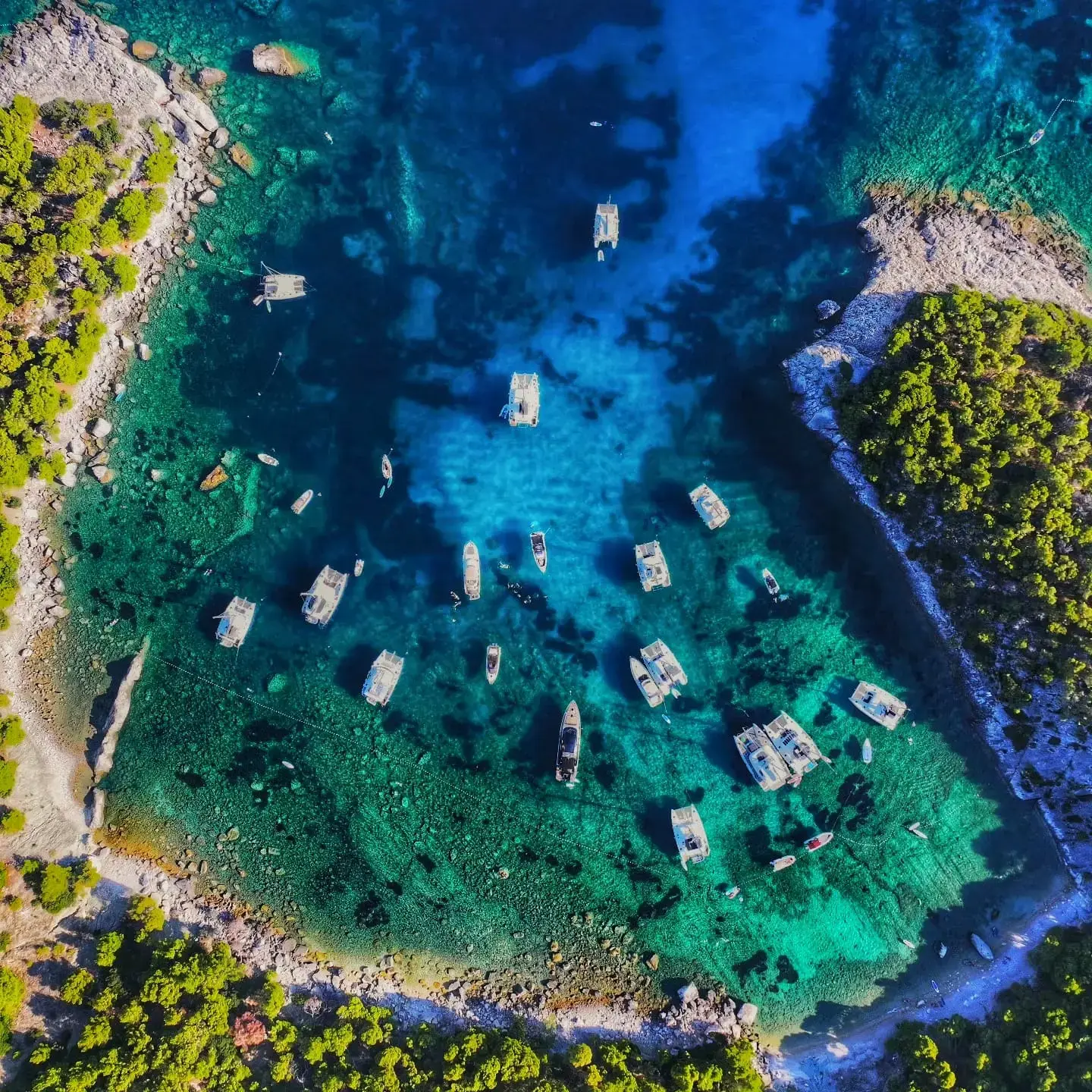 UNPLUGGED thumbnail 16