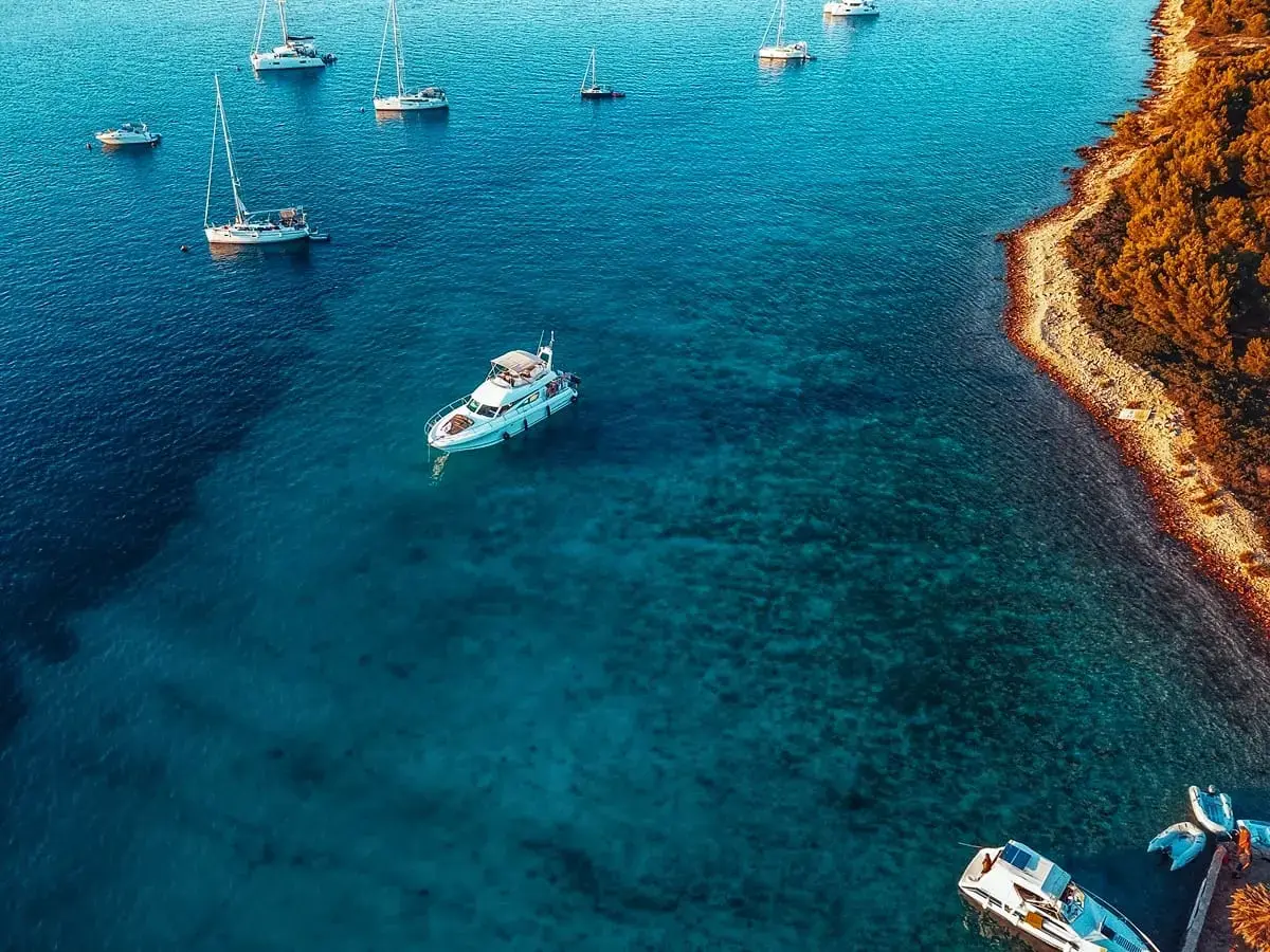 UNPLUGGED thumbnail 17