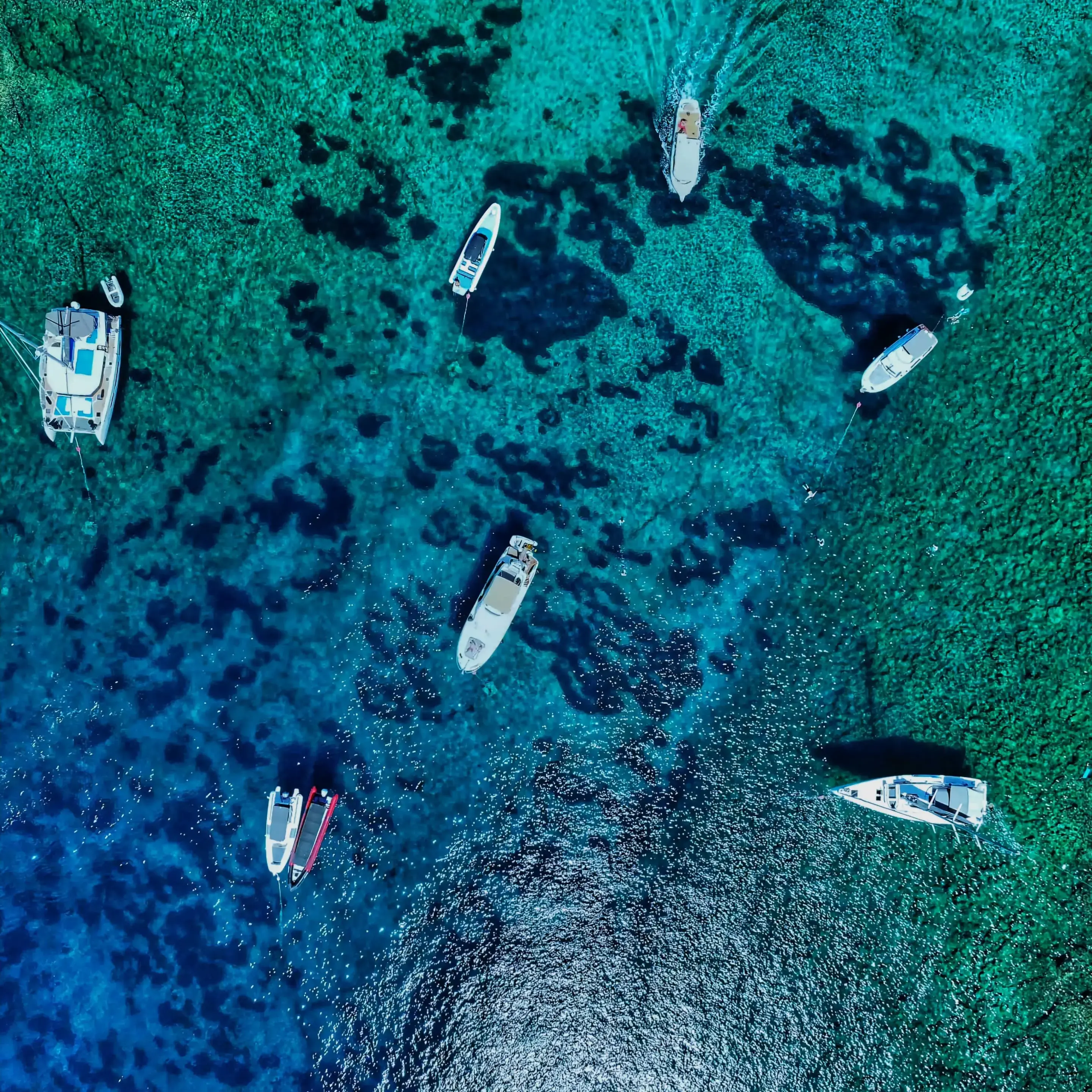 UNPLUGGED thumbnail 28