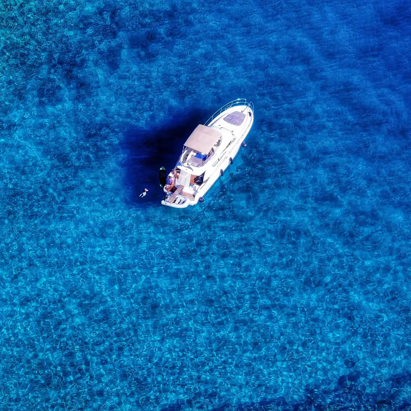 UNPLUGGED thumbnail 36