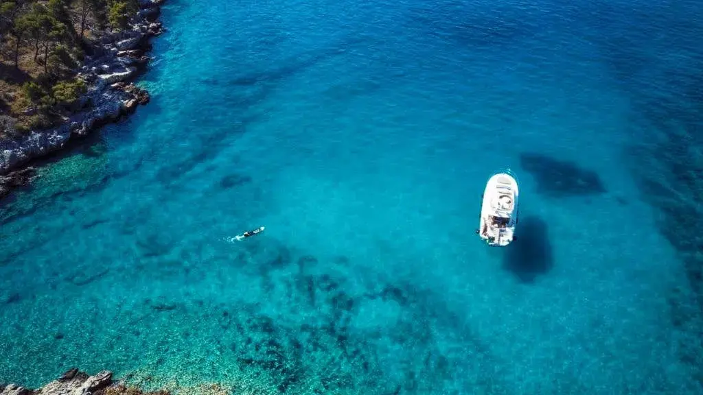 UNPLUGGED thumbnail 39