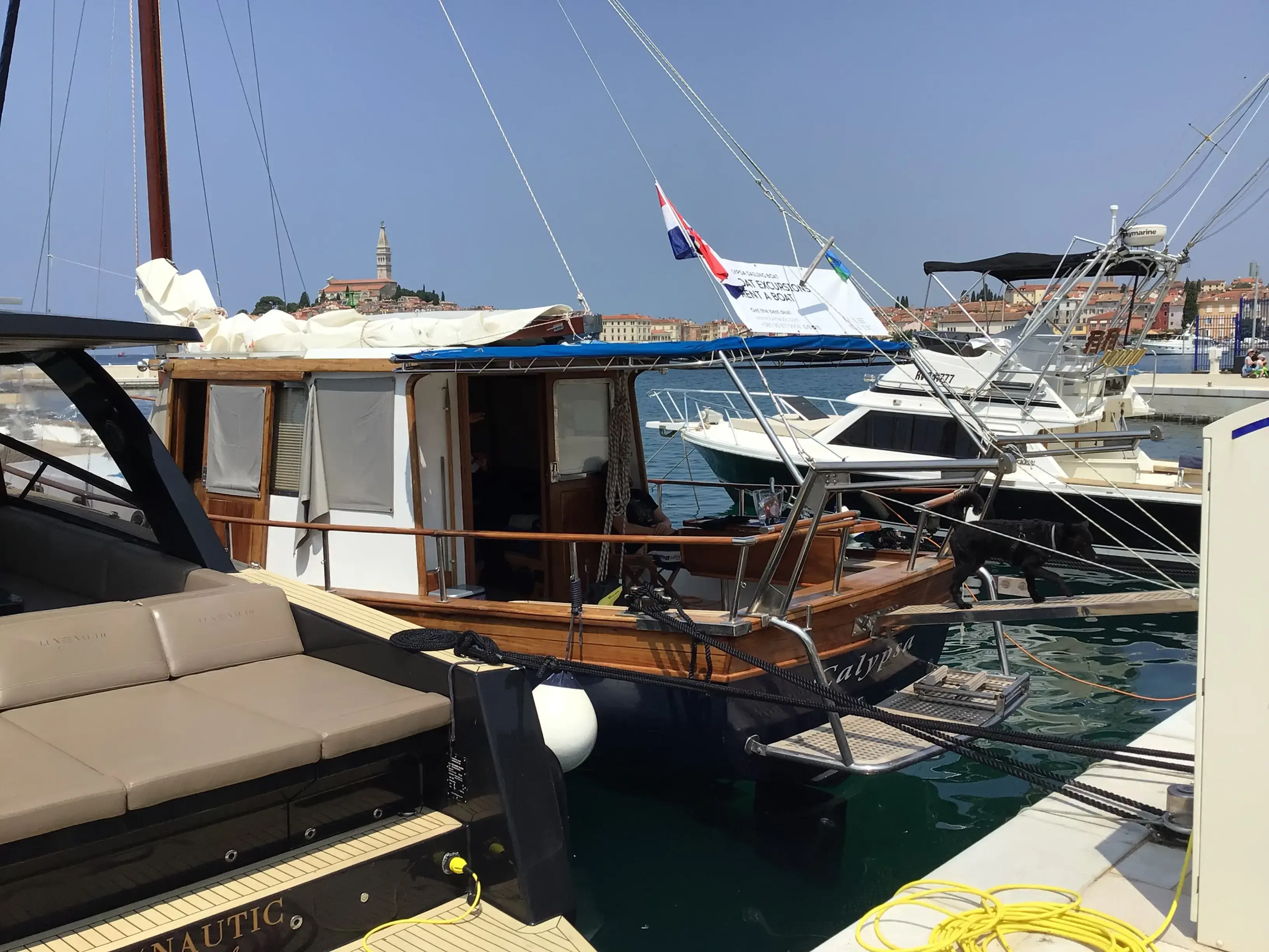 Calypsa thumbnail 19