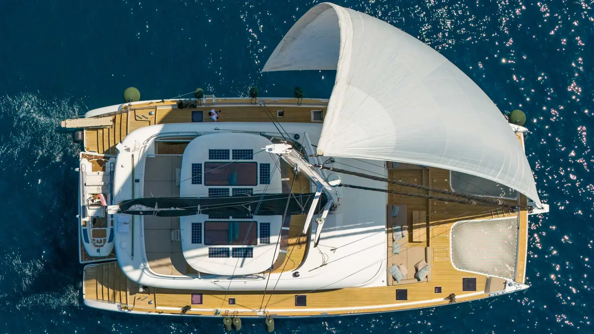 Honeybird thumbnail 6