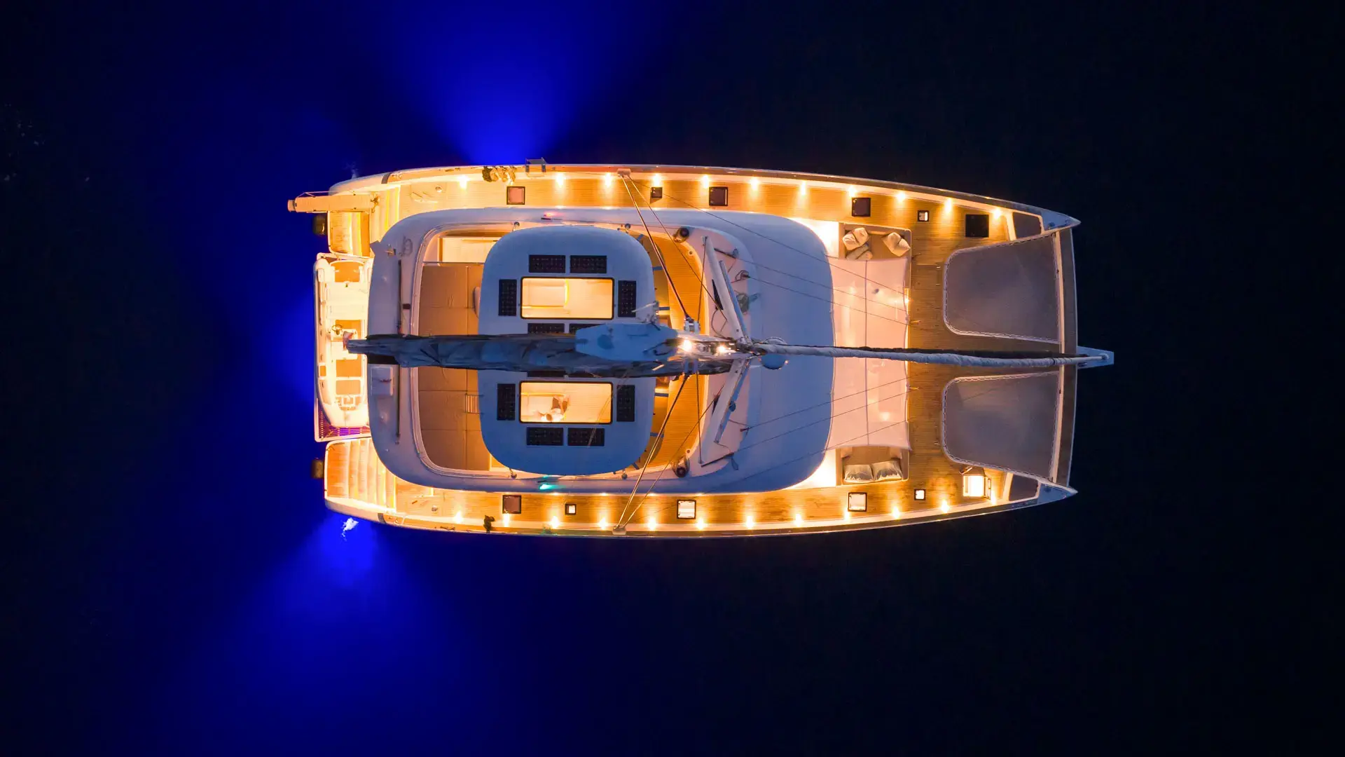 Honeybird thumbnail 9