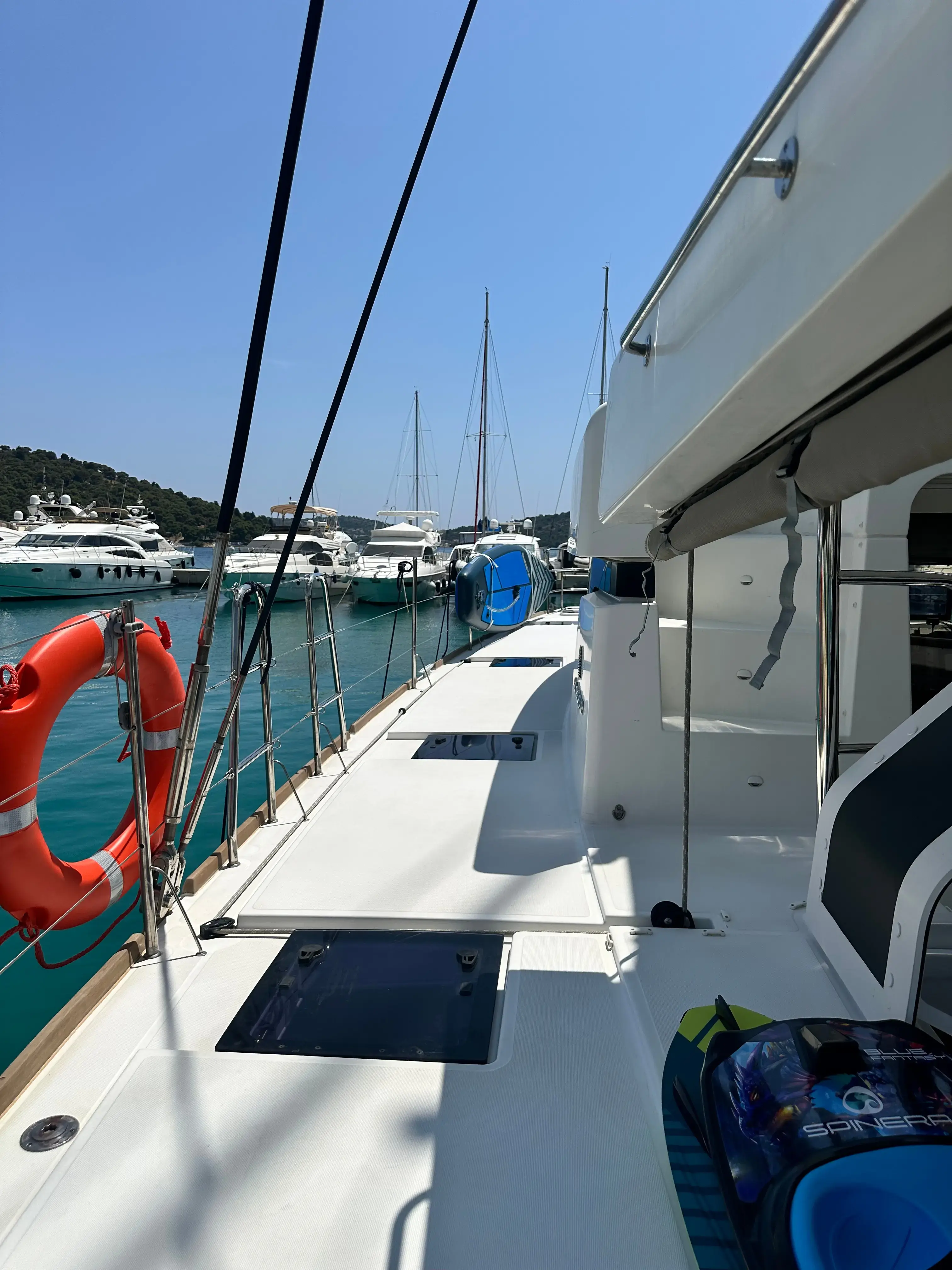 Manta Ray thumbnail 11