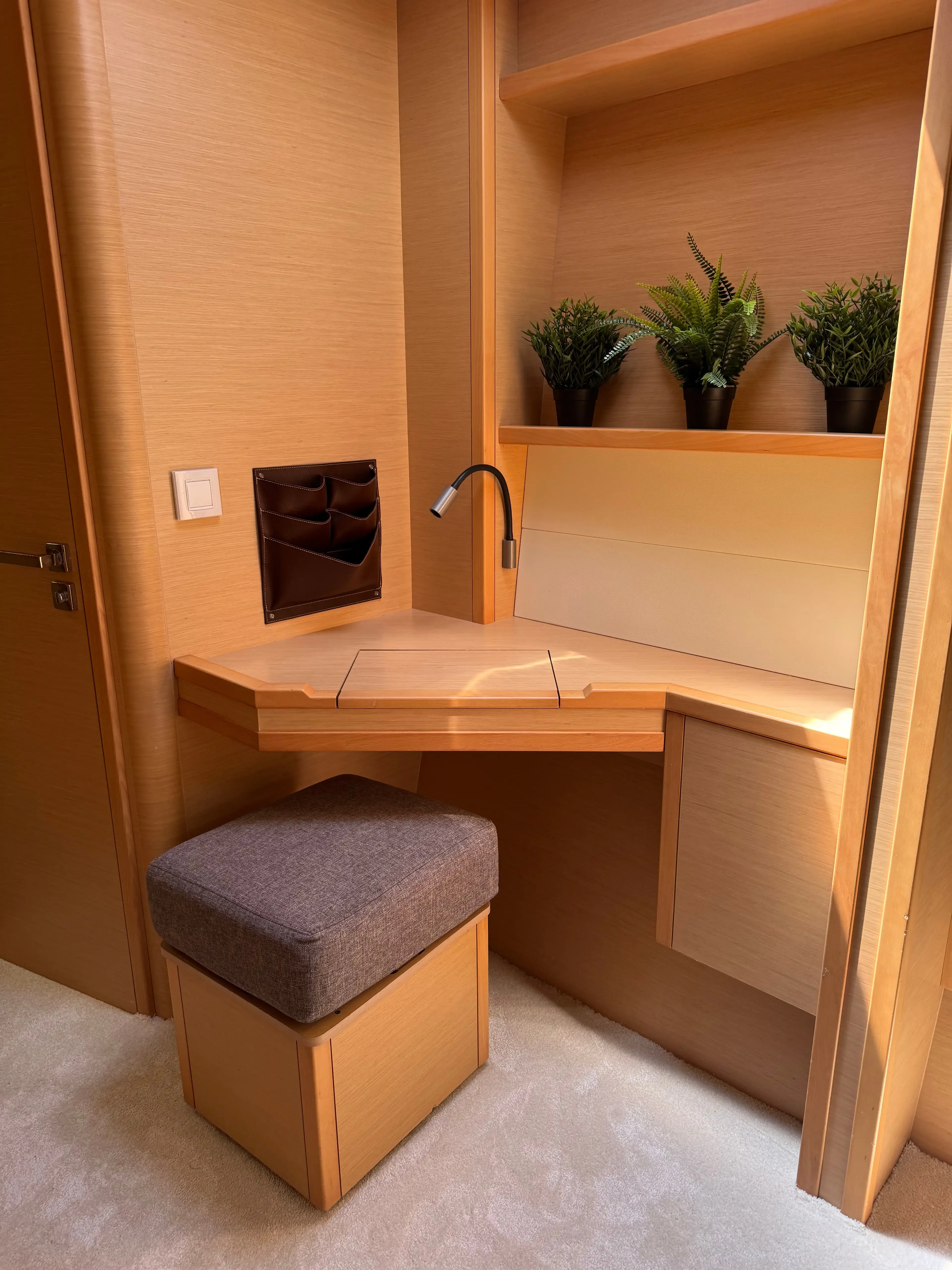 Manta Ray thumbnail 34