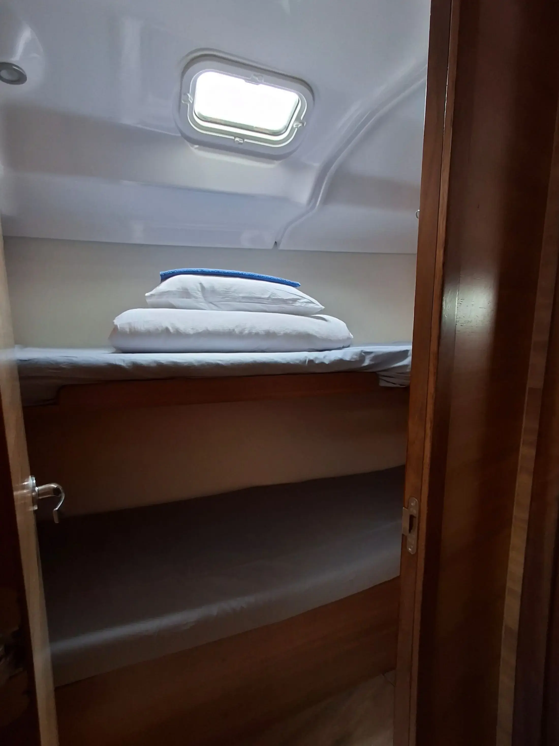 Albatros thumbnail 6