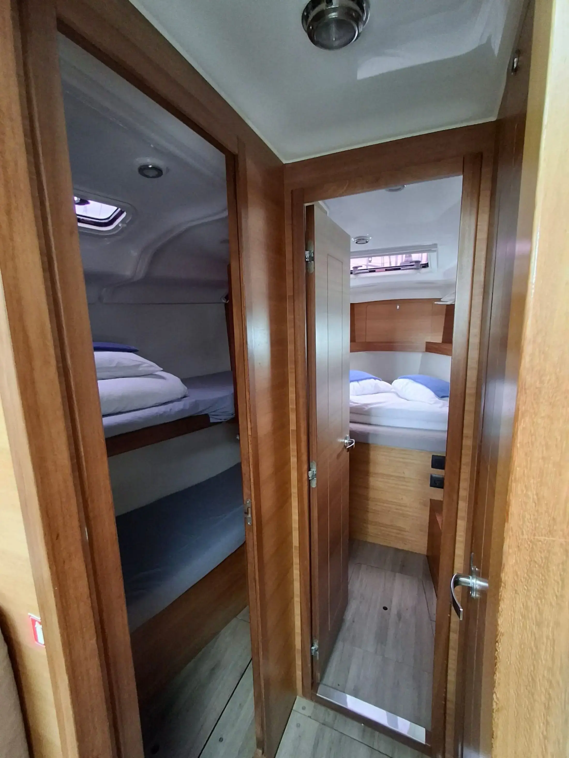 Albatros thumbnail 7