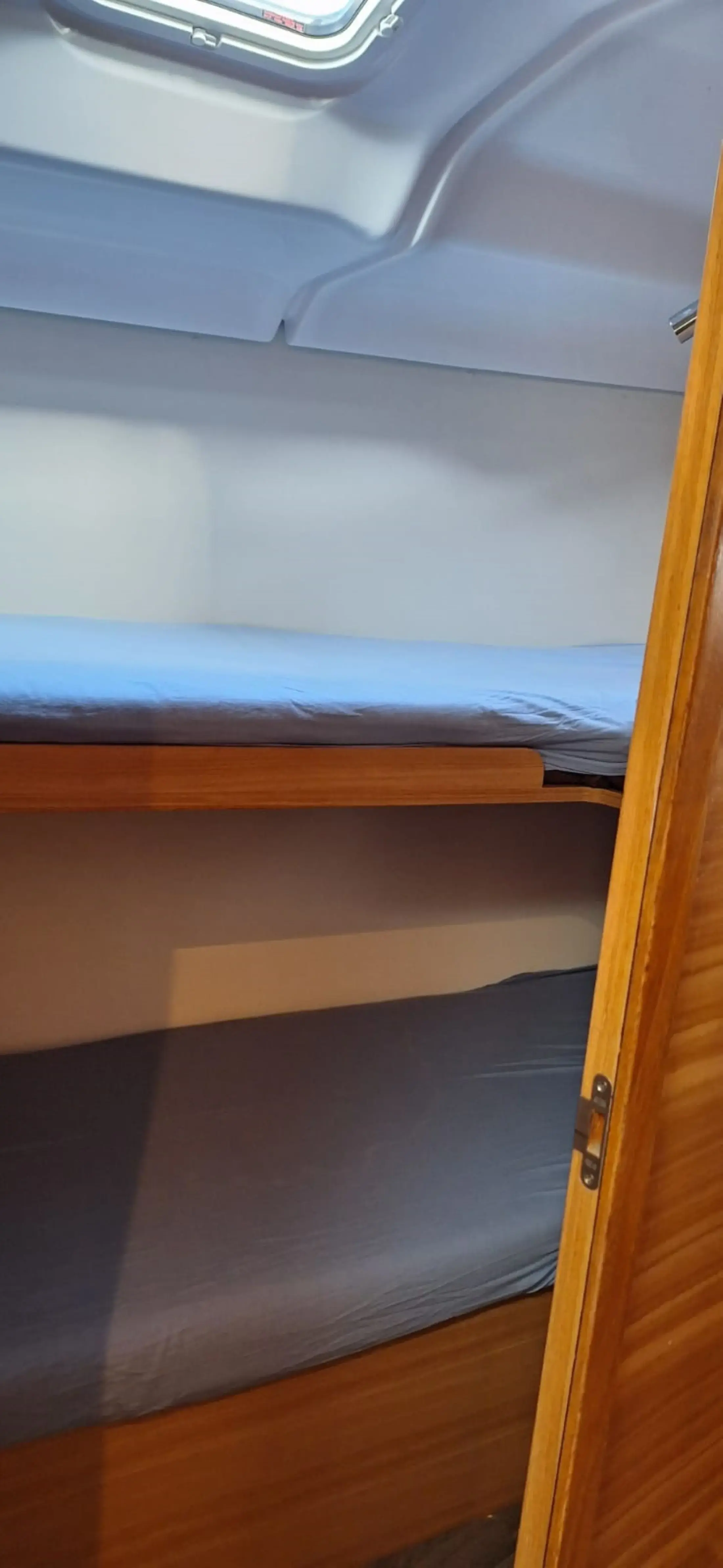 Flamingo thumbnail 8