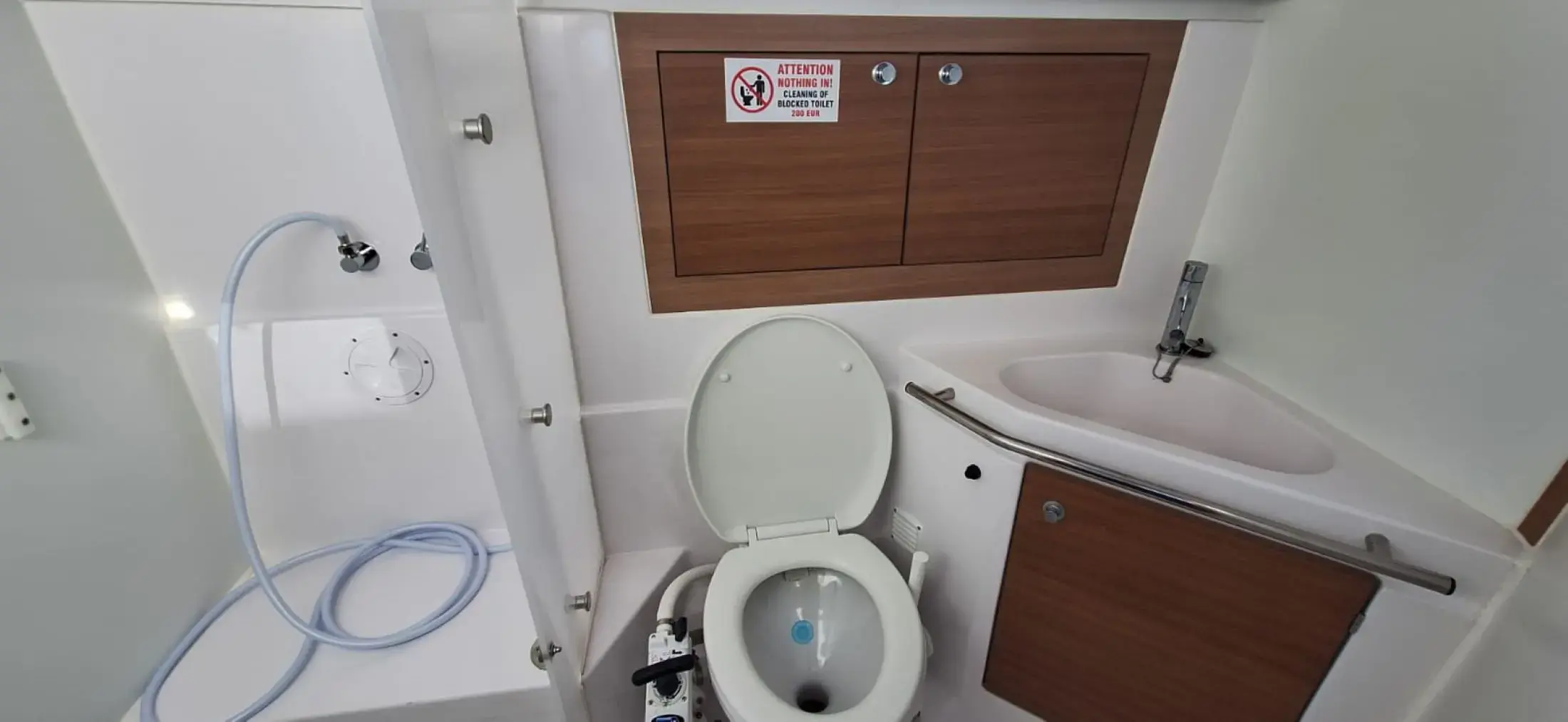 Flamingo thumbnail 10