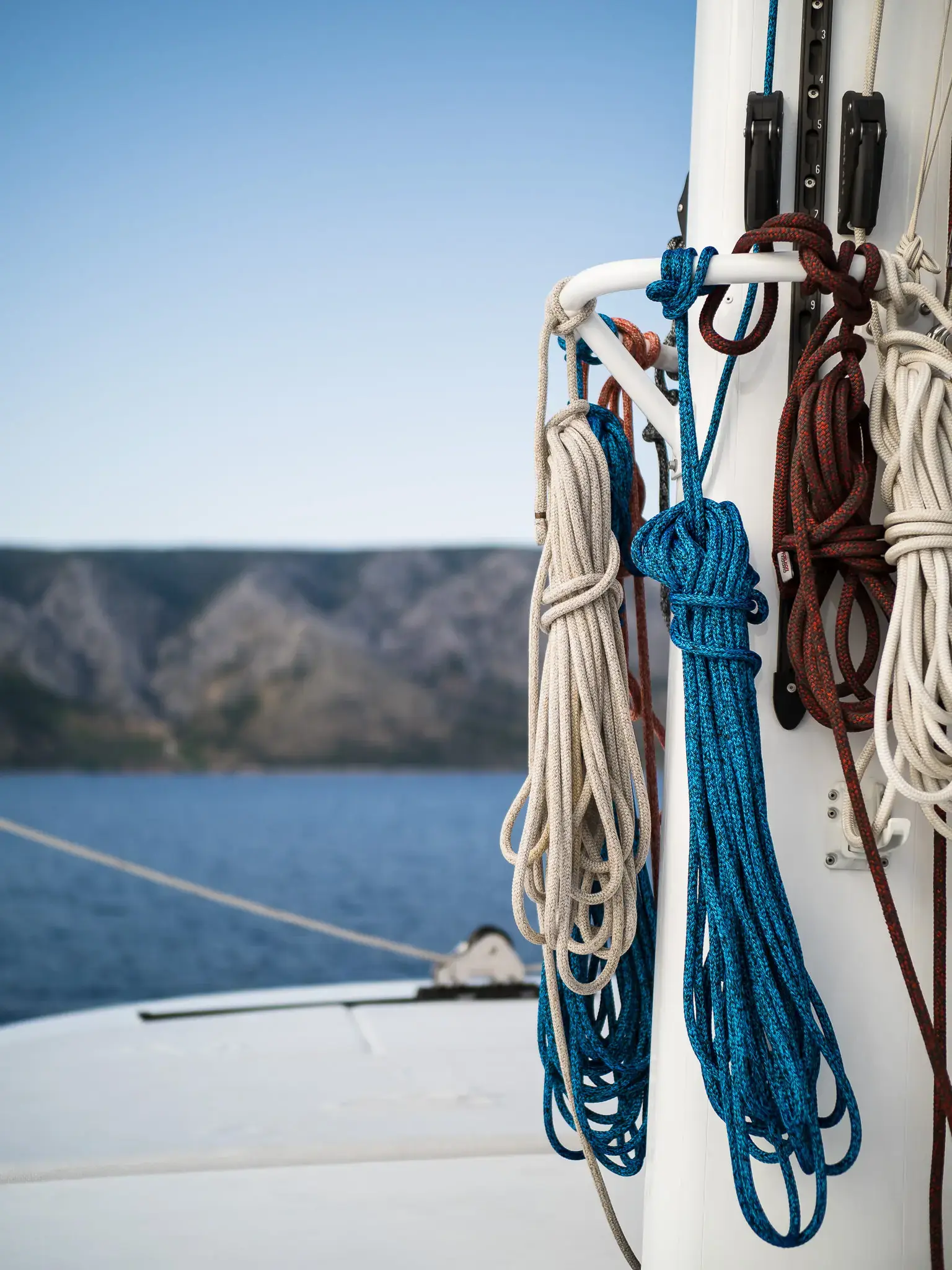 VULPINO thumbnail 35