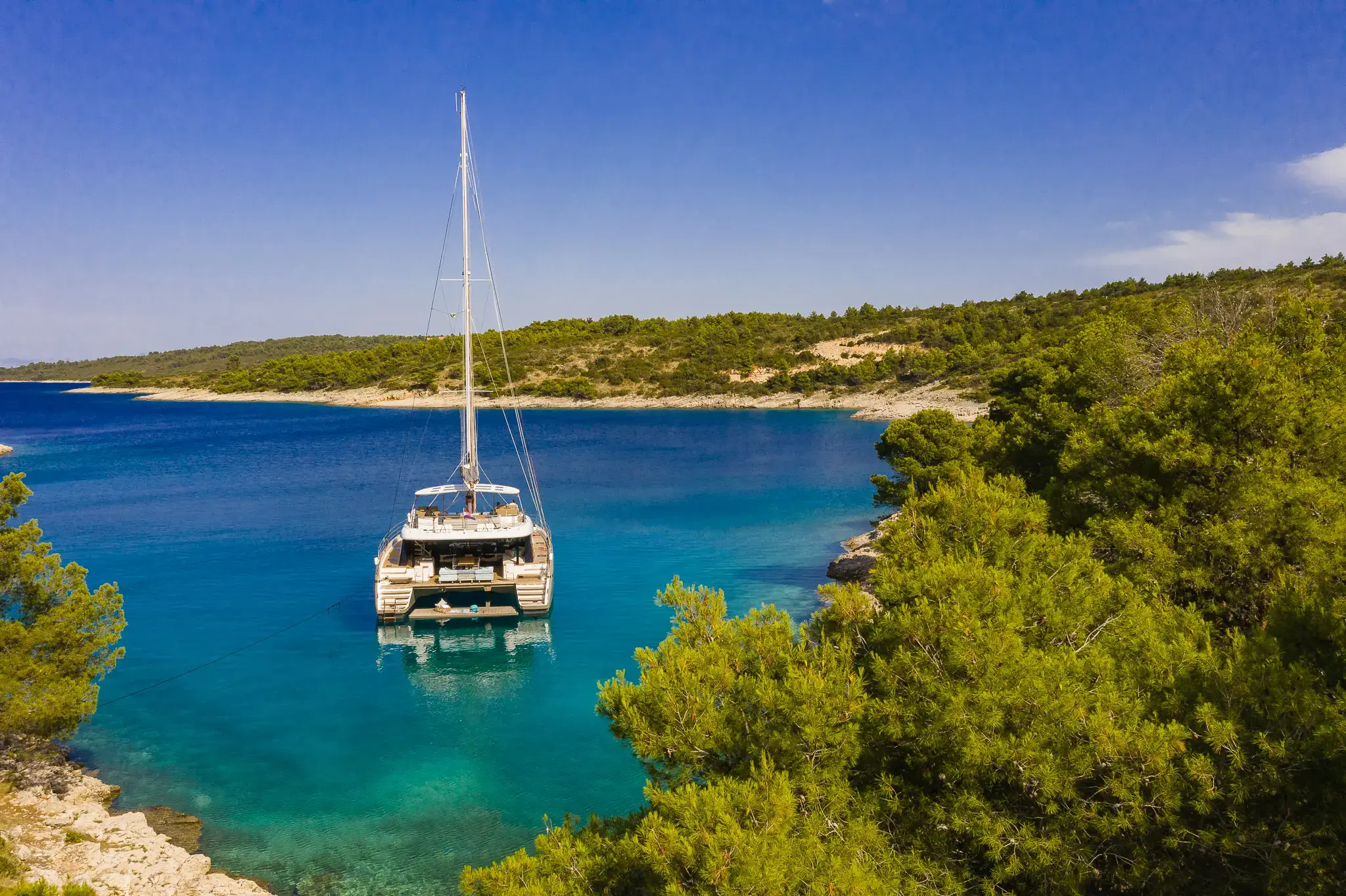 VULPINO thumbnail 41