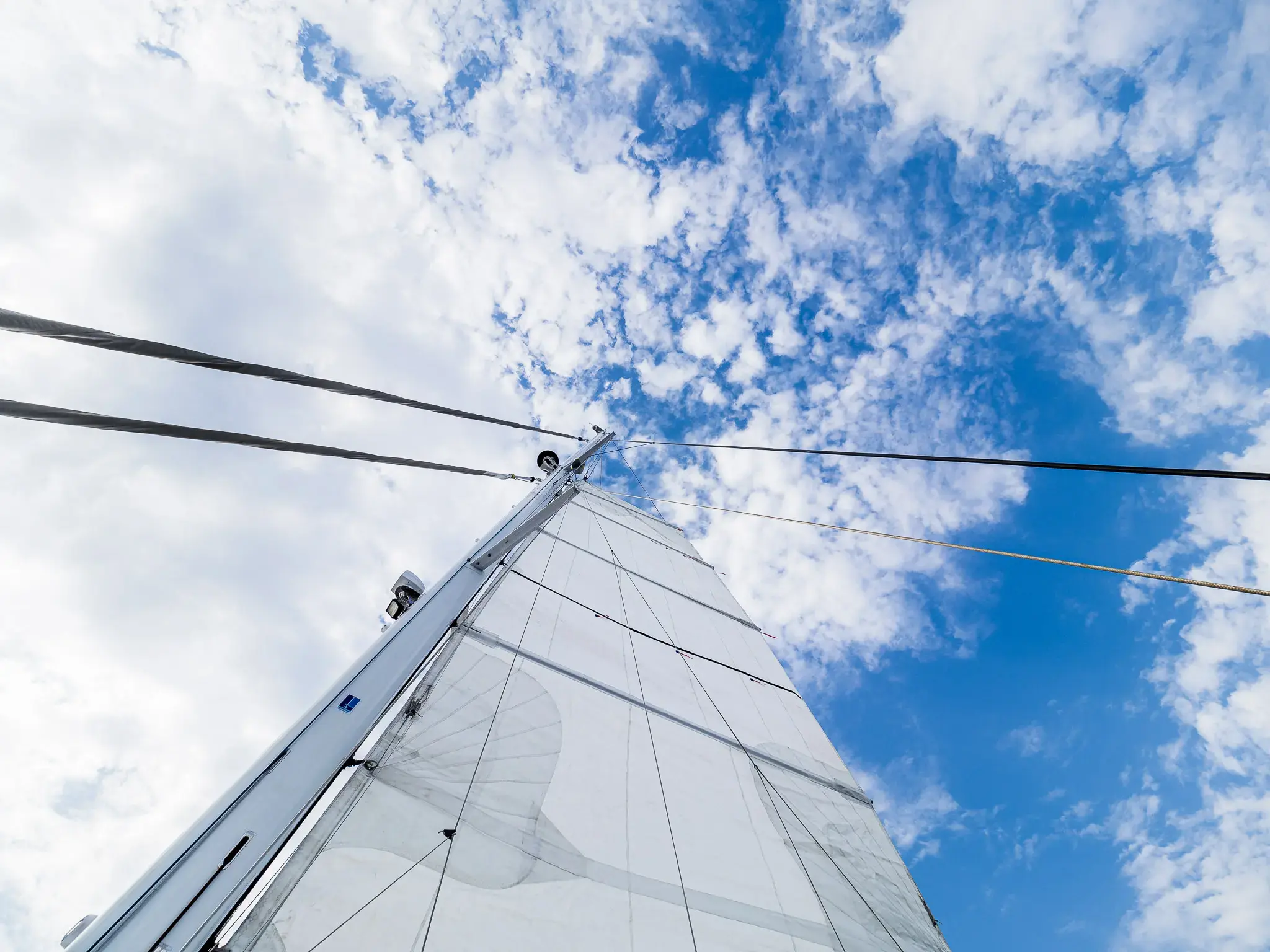 VULPINO thumbnail 42