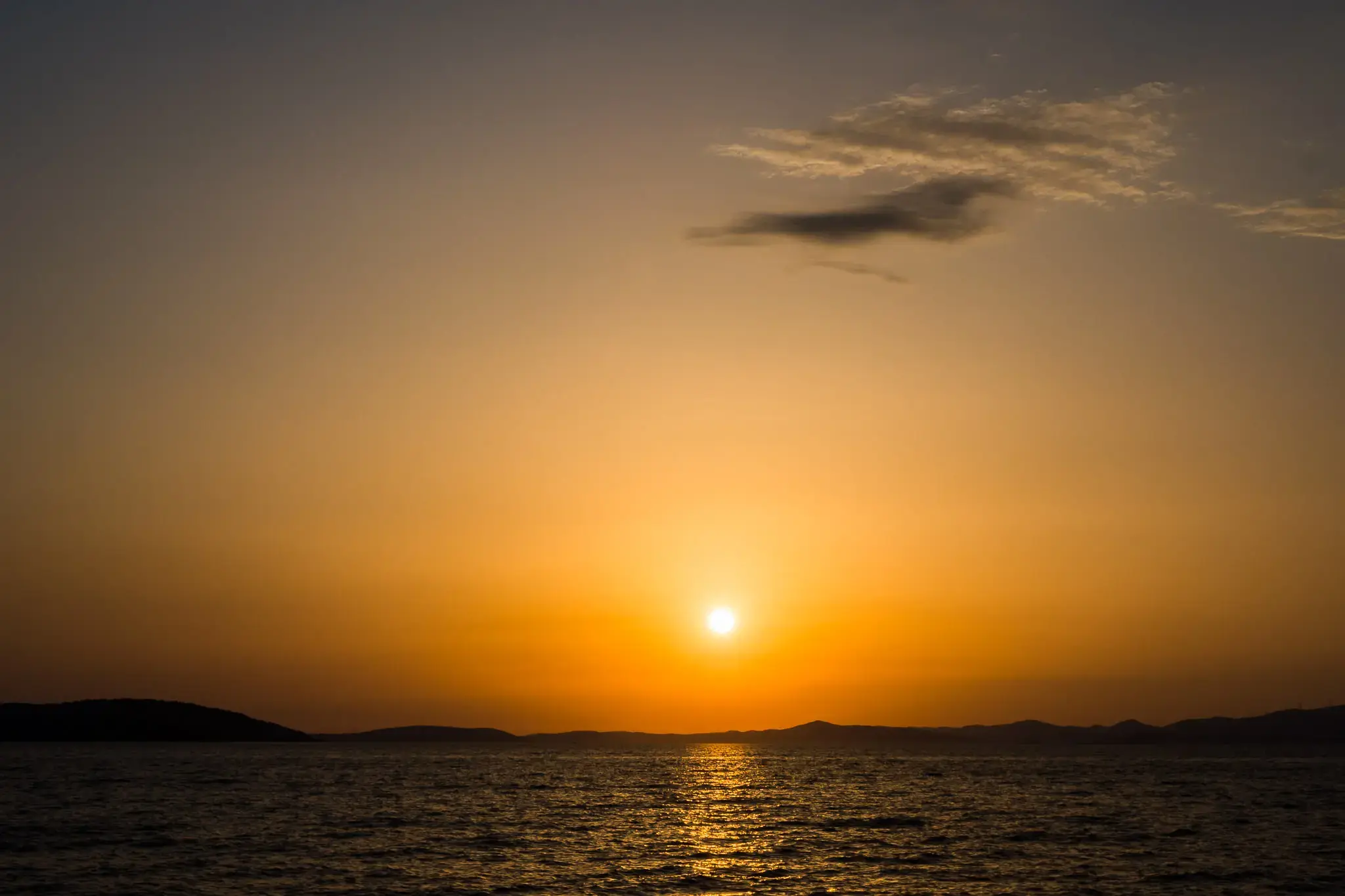 VULPINO thumbnail 79