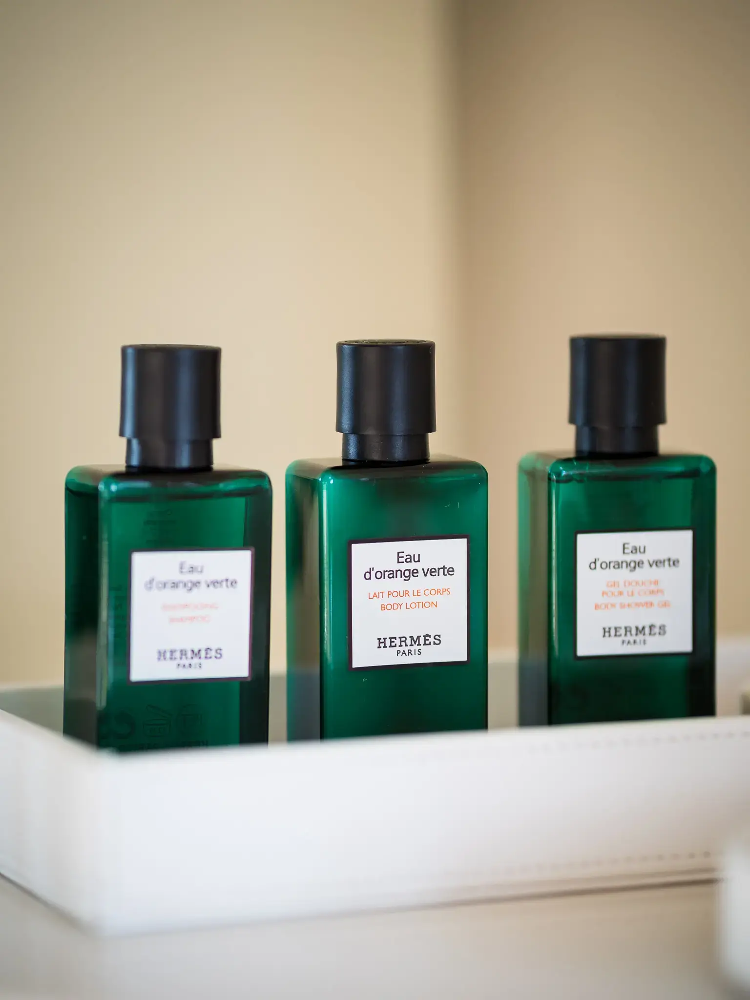 VULPINO thumbnail 167