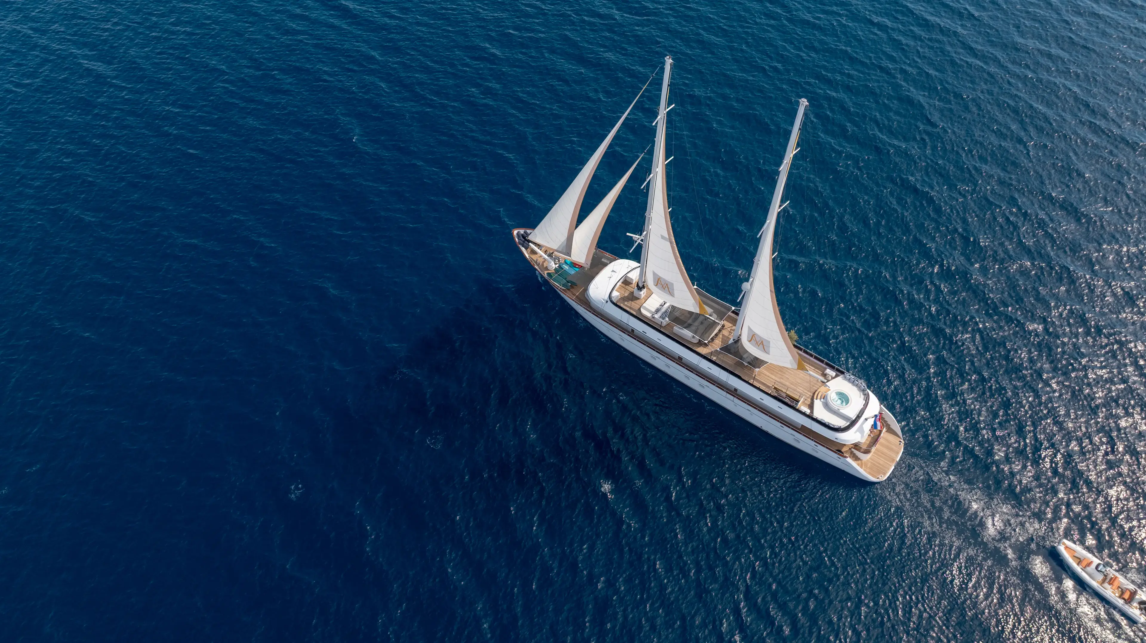 Anima Maris thumbnail 15