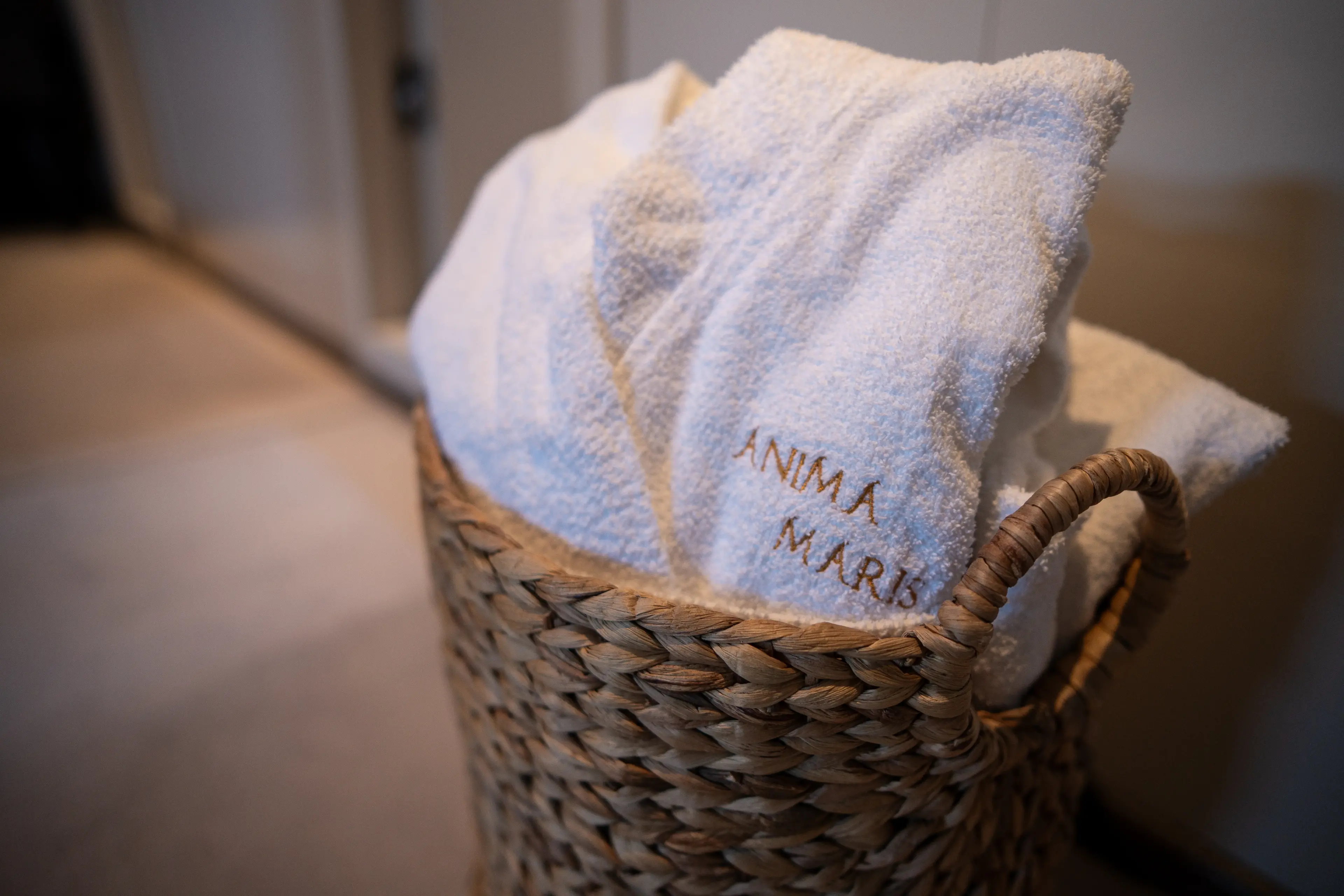 Anima Maris thumbnail 72