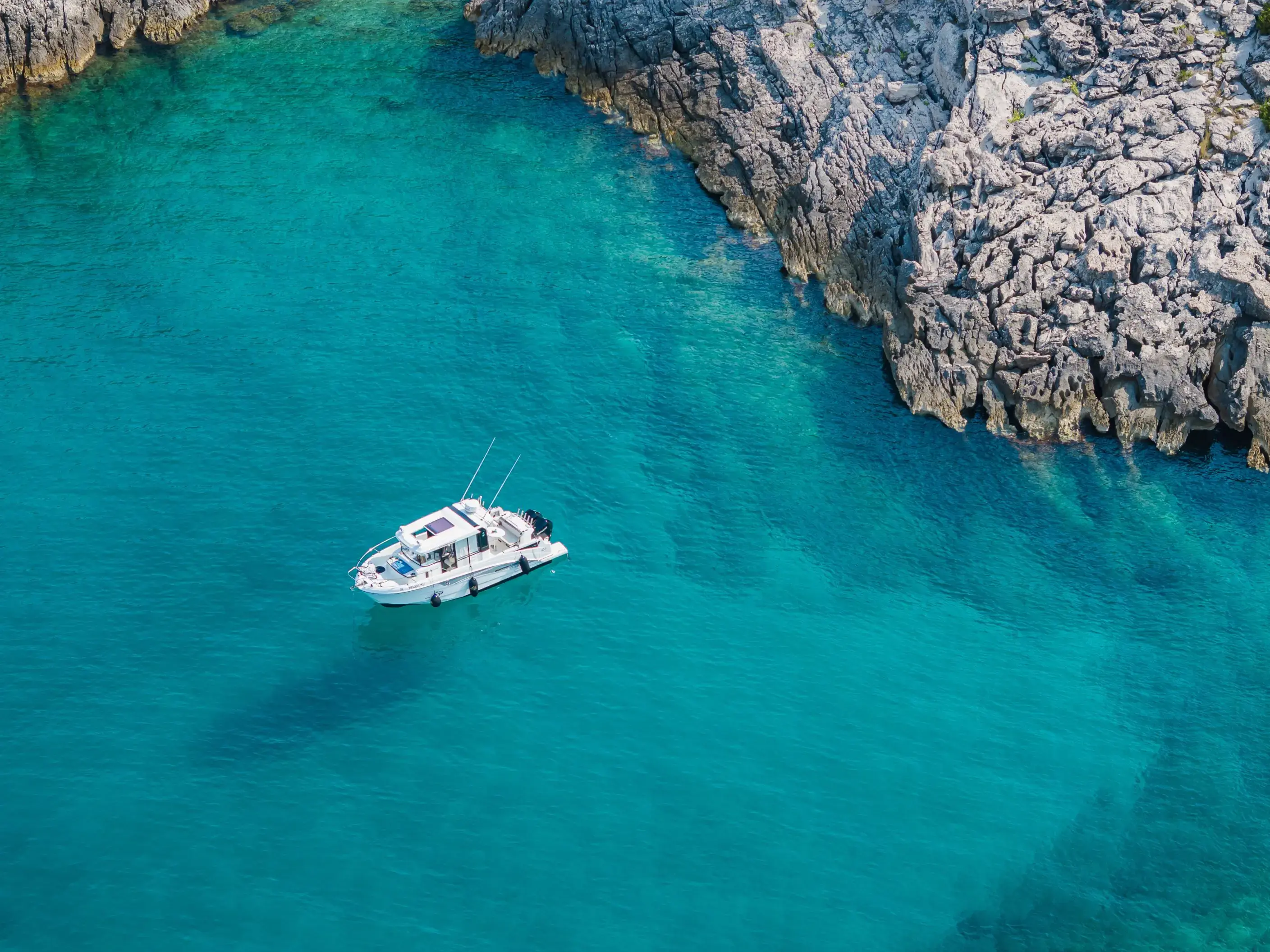 Whisper thumbnail 11