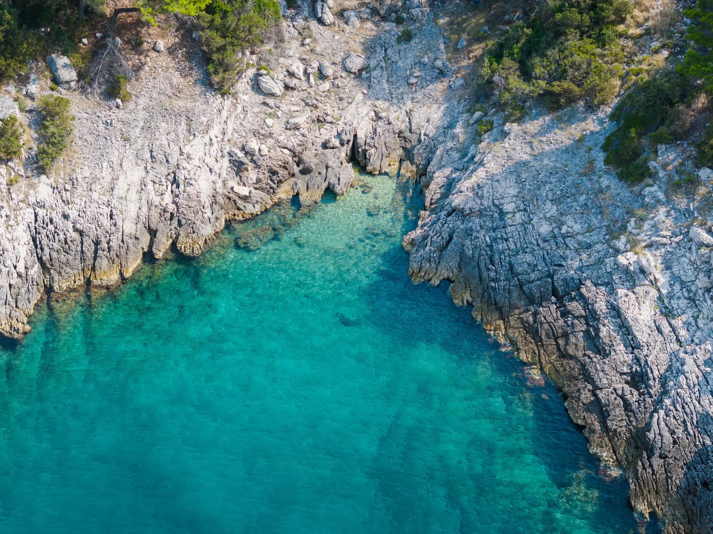 Whisper thumbnail 12