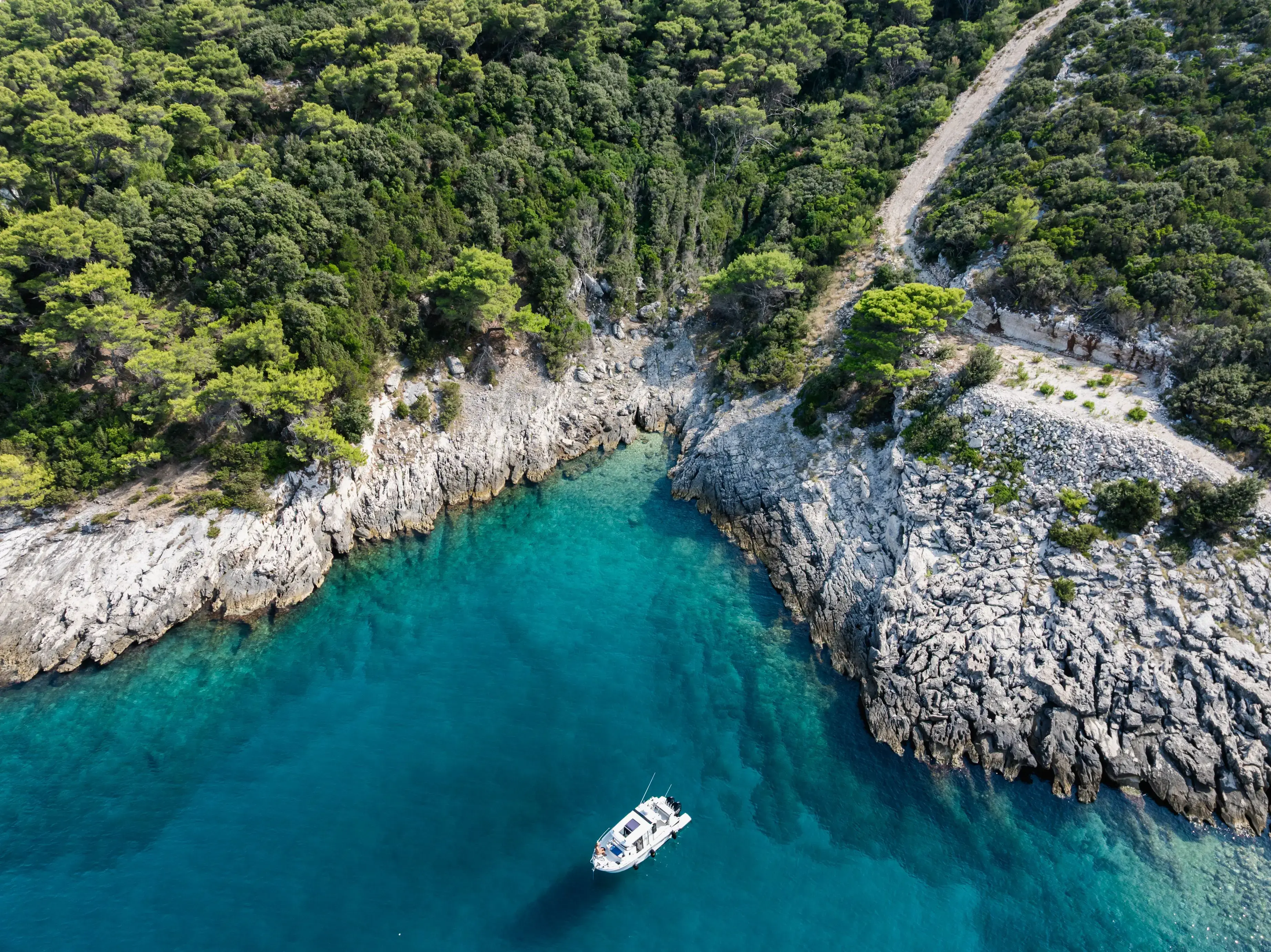 Whisper thumbnail 13